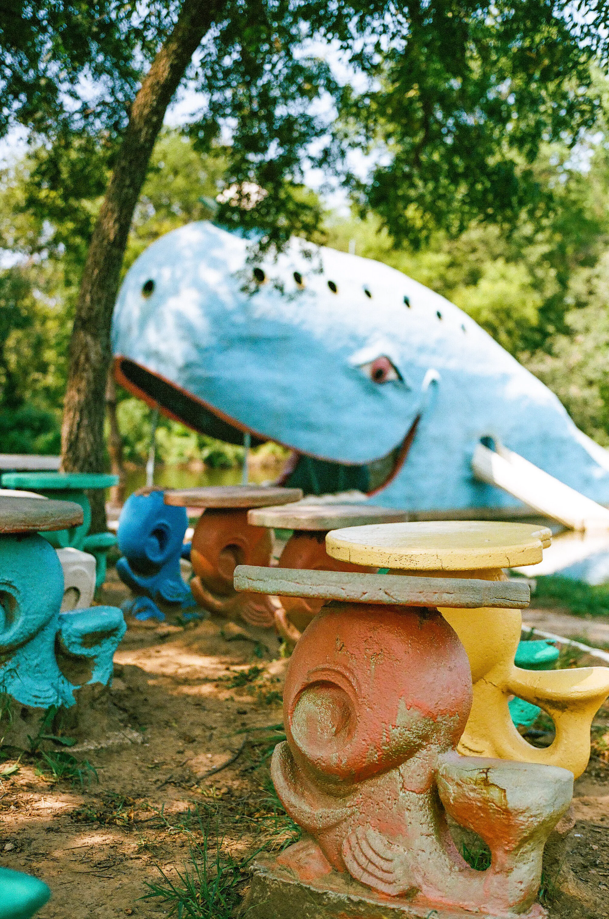 Blue Whale - Catoosa, Oklahoma - Contax G1