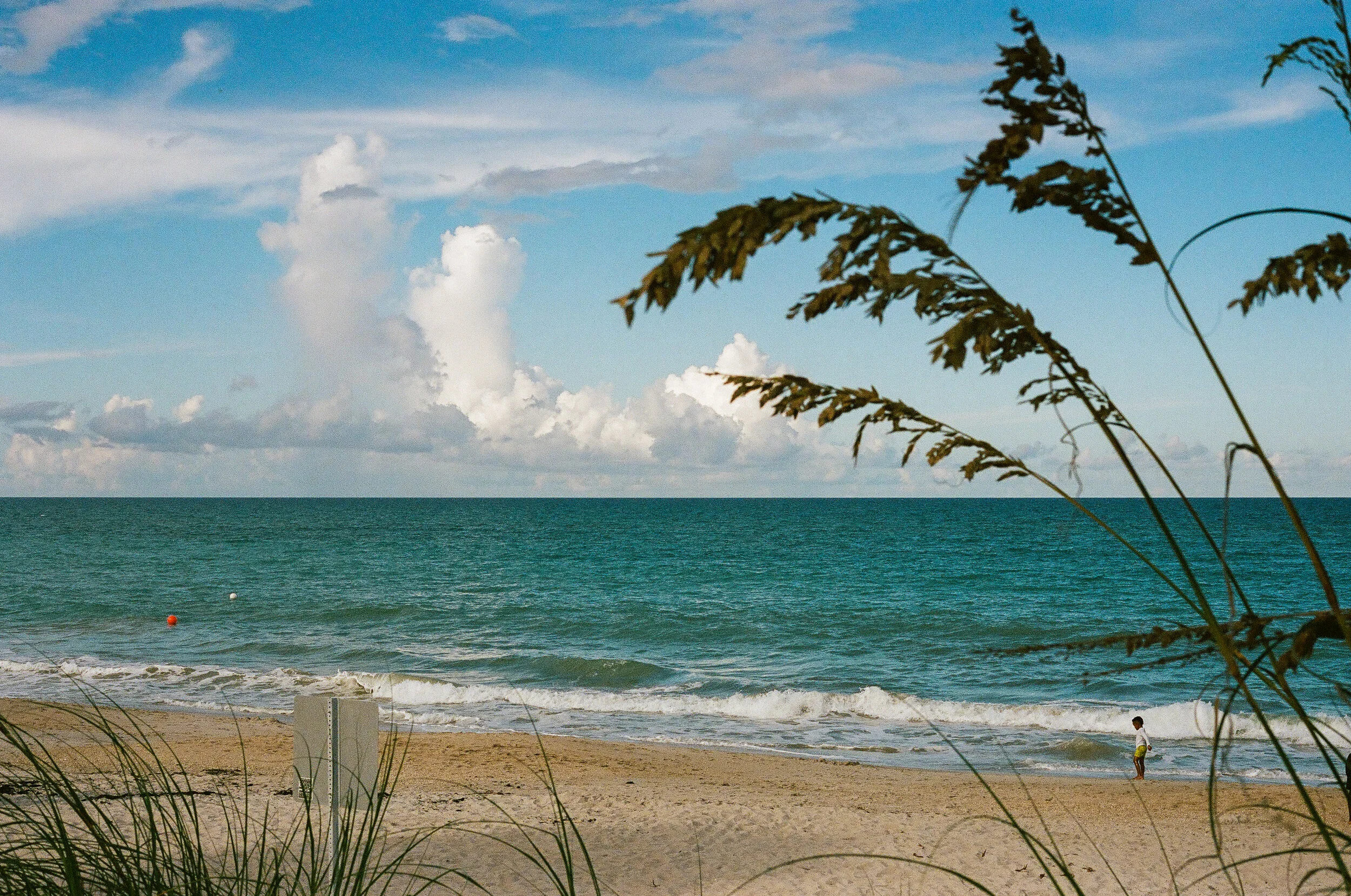 Sandy Toes - Vero Beach, Florida - Contax G1