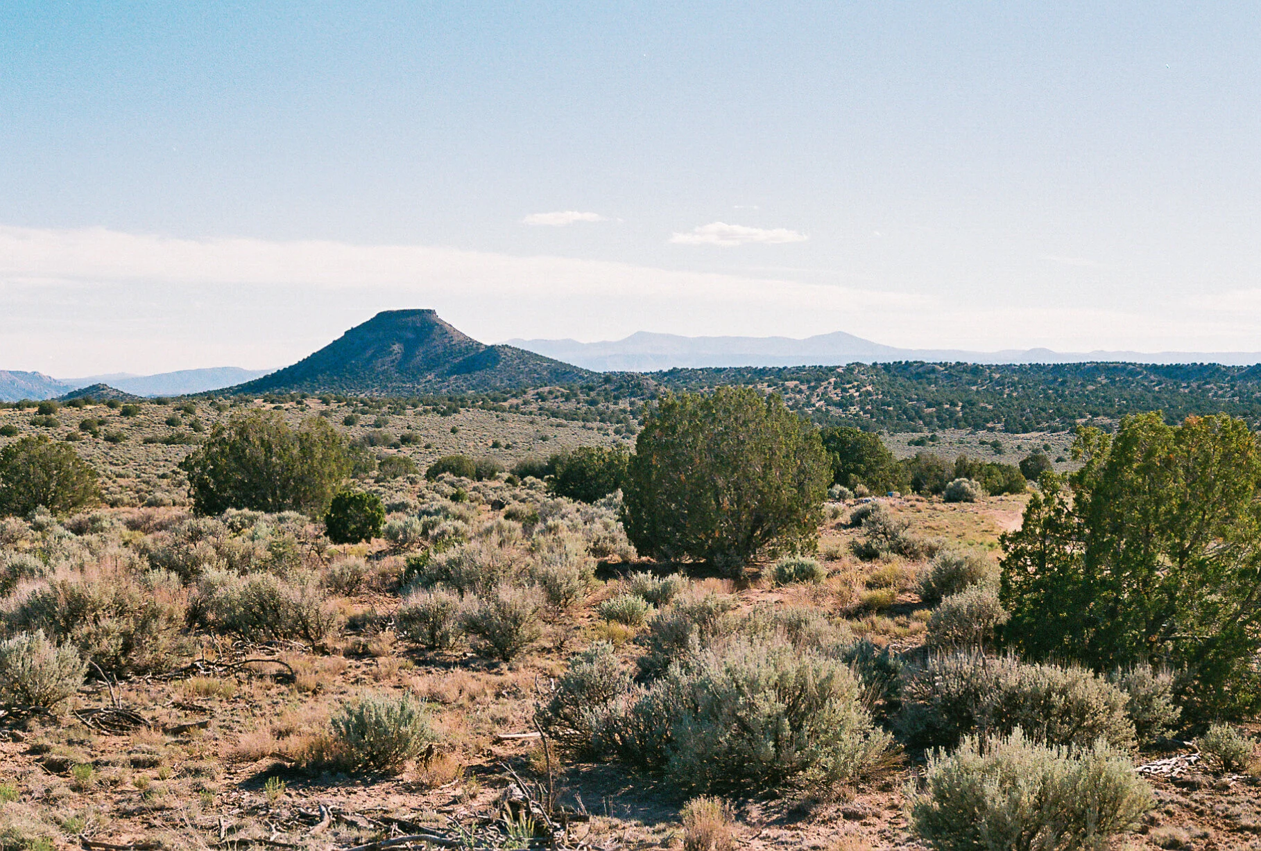 Desert Vista - New Mexico - Contax G1