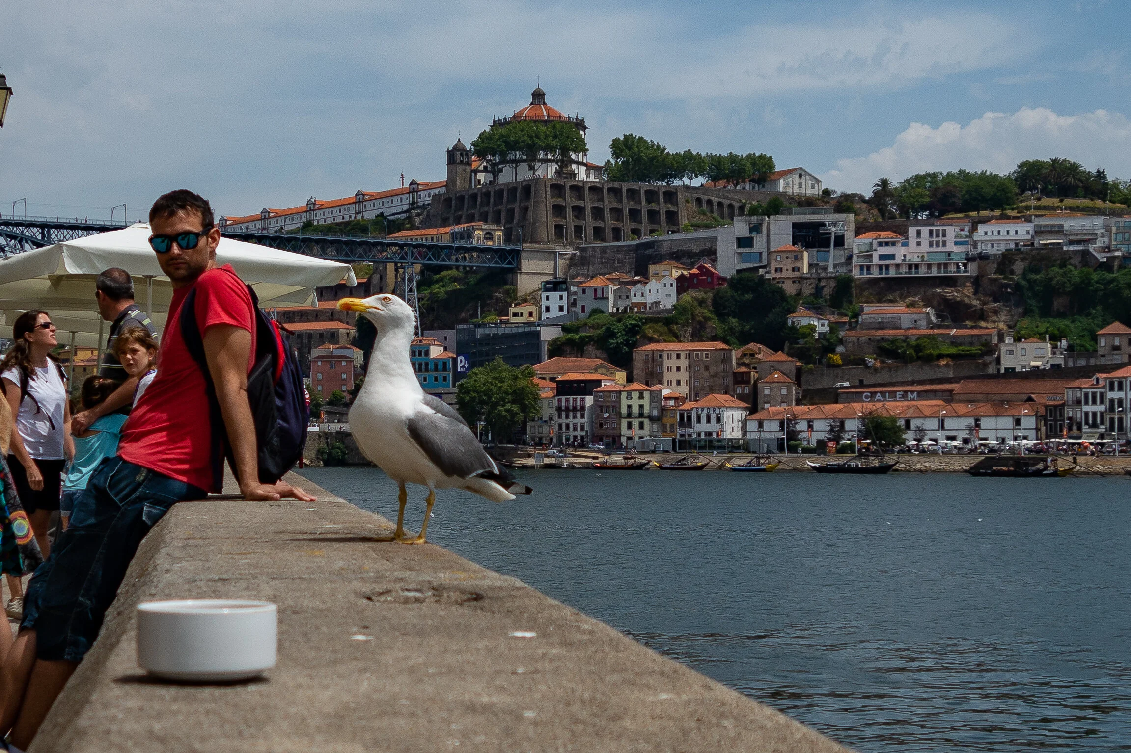 Don't Feed The Gulls - Porto, Portugal - Sony RX100-II