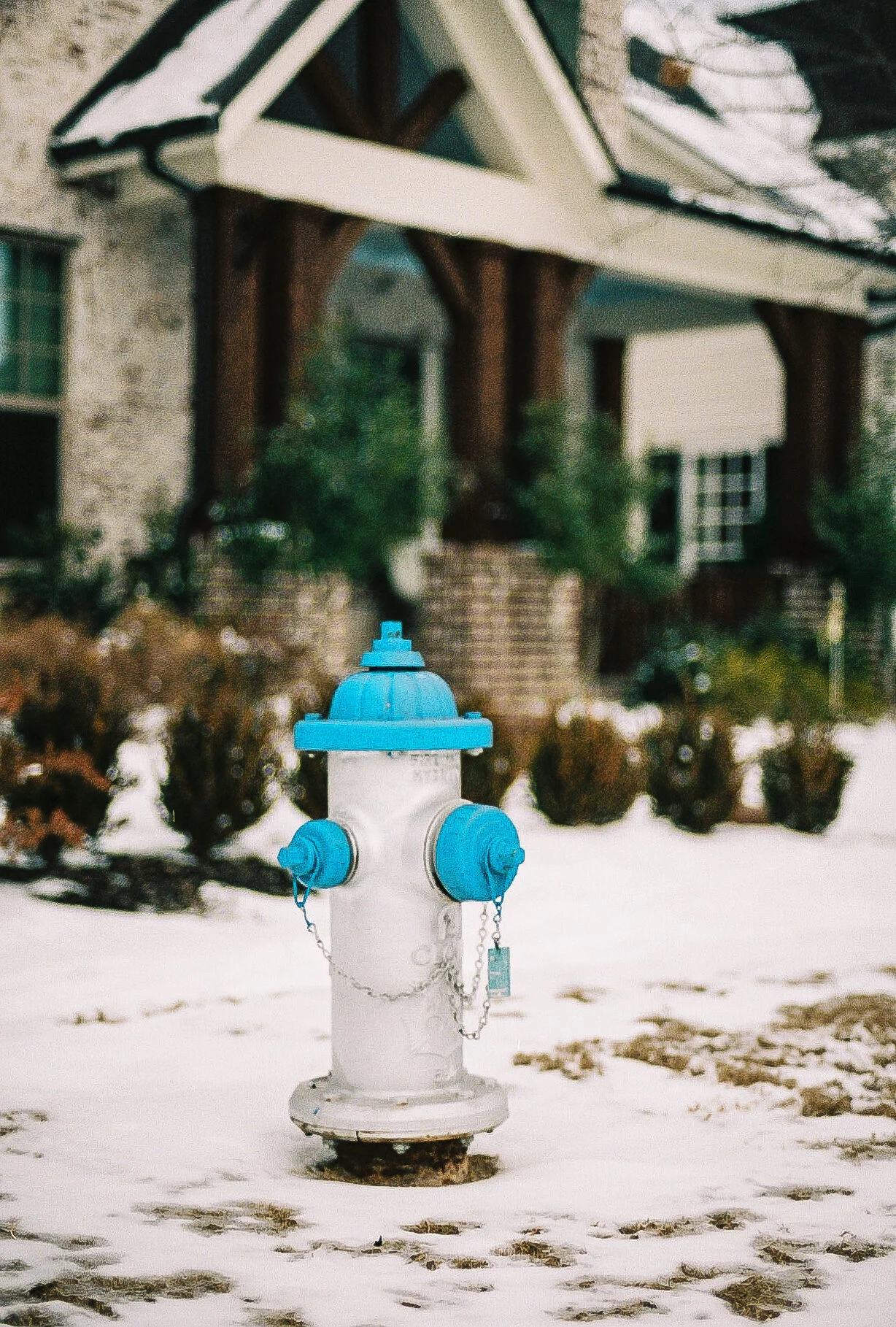 Wide Open - McKinney, Texas - Nikon FE2