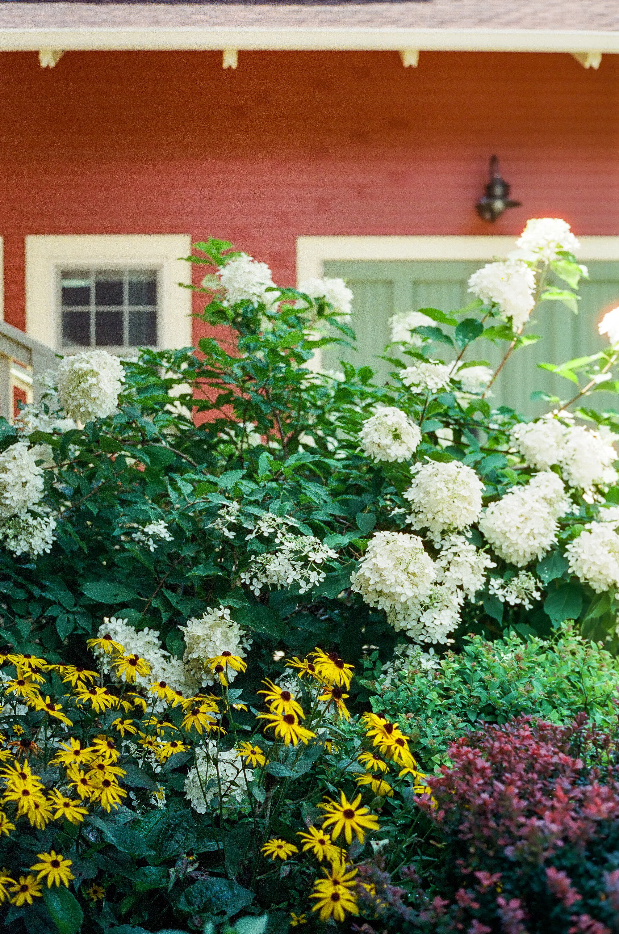 Blooms In Force - Tulsa, Oklahoma - Contax G1