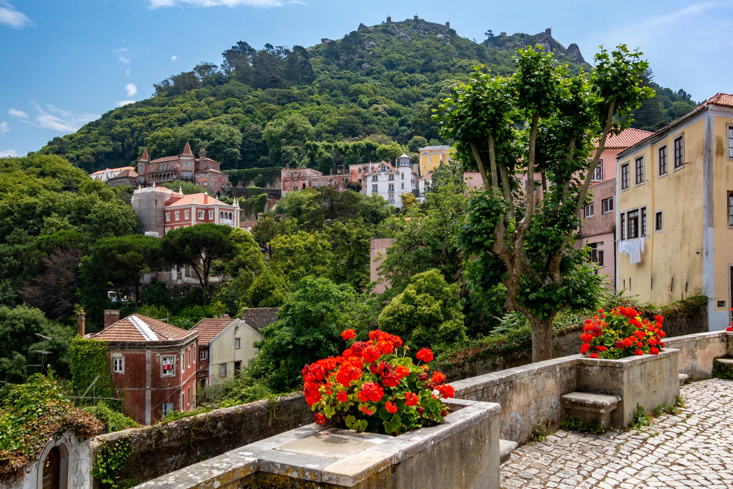 Capital Blooms - Lisbon, Portugal - Sony RX100-II