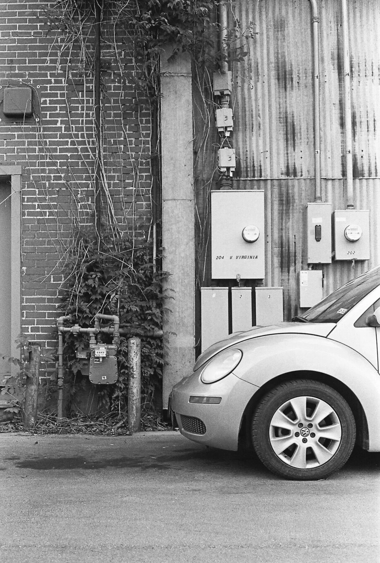 Beetle - McKinney, Texas - Contax G1
