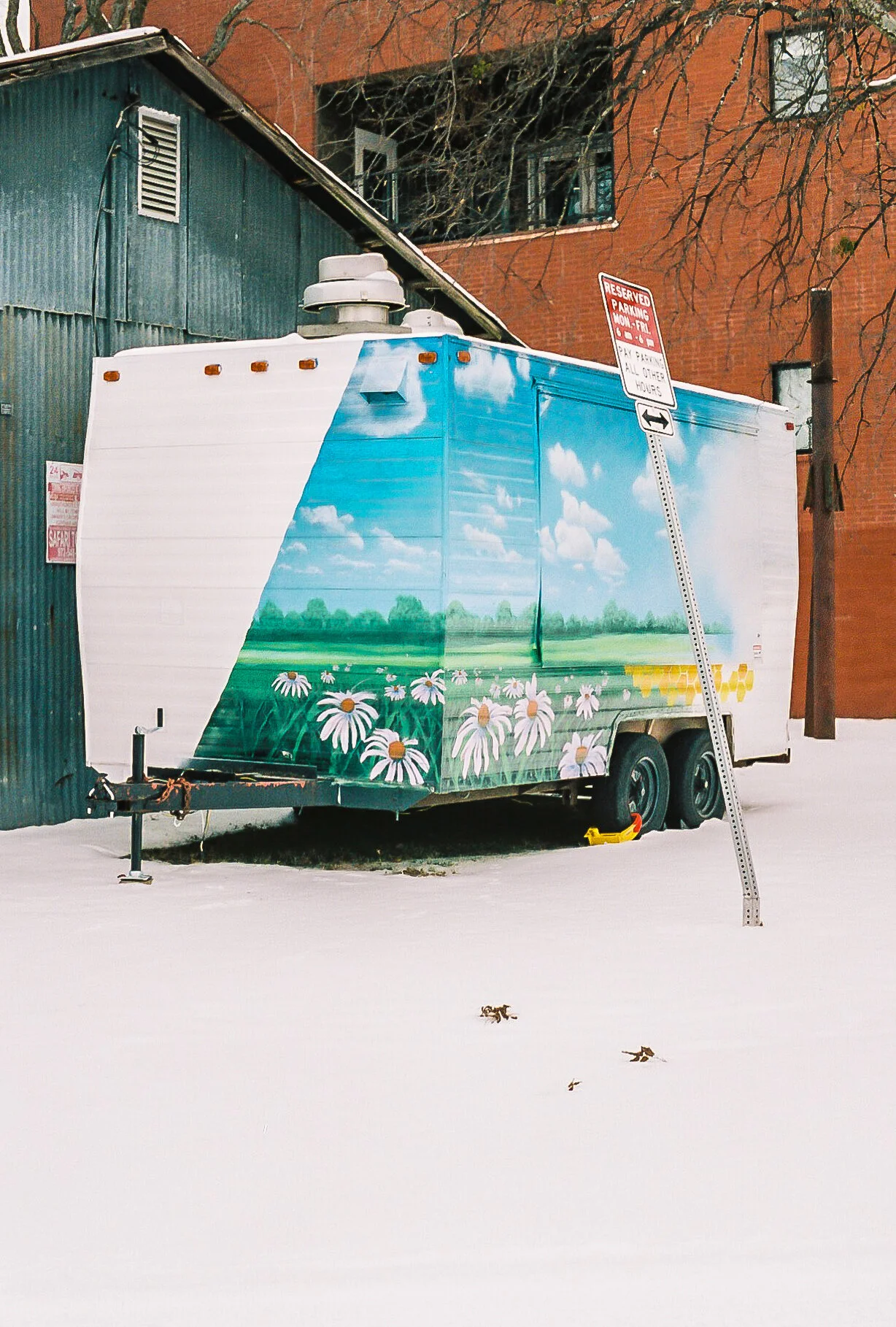 Winter Oasis - McKinney, Texas - Nikon FE2
