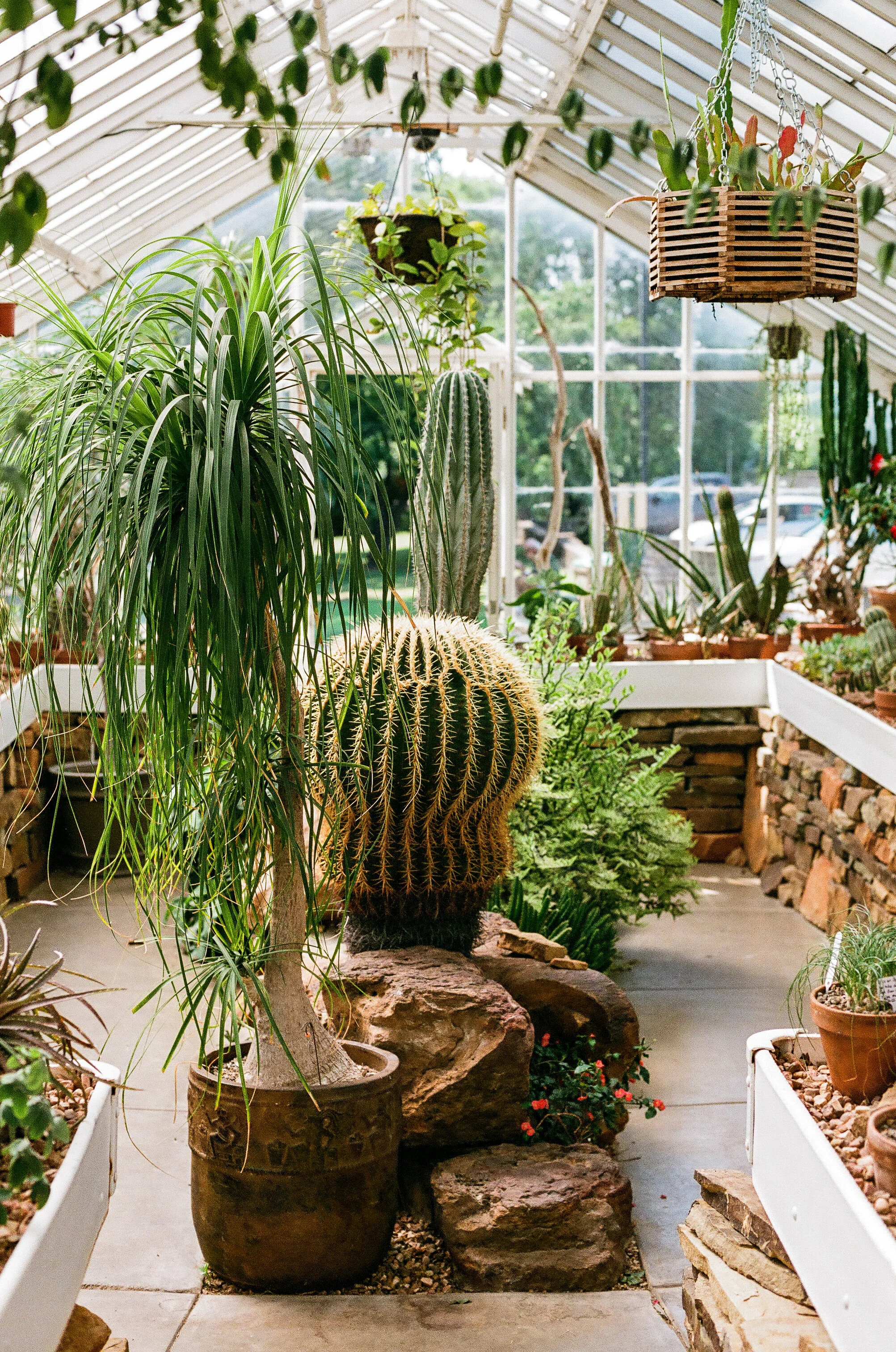 Botanical - Tulsa, Oklahoma - Nikon F3