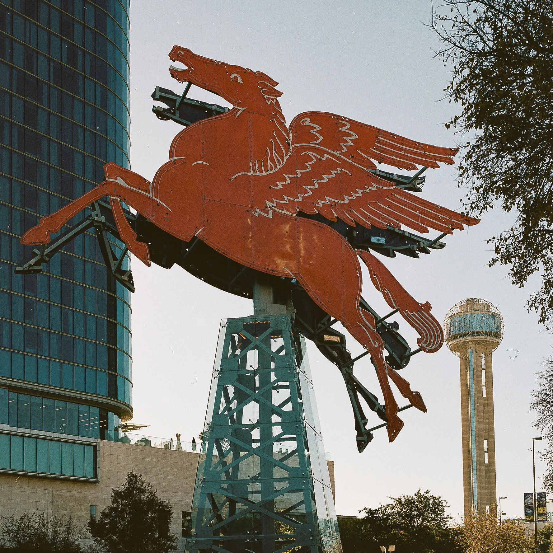 Pegasus - Dallas, Texas - Hasselblad 500 C/M