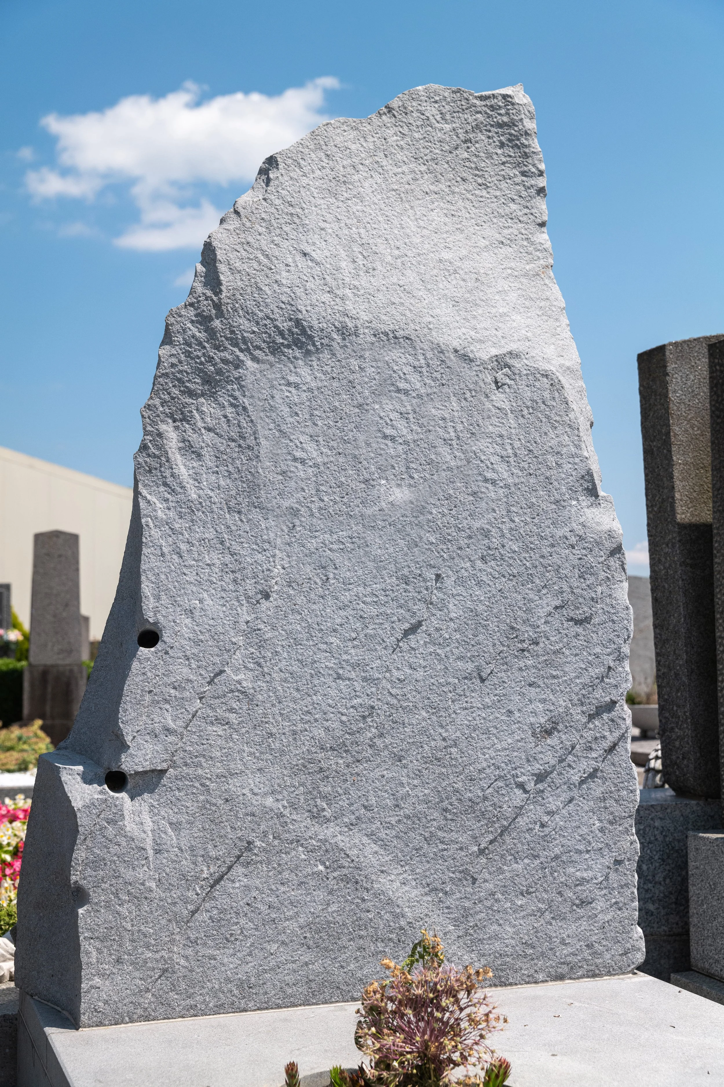 1000120 13x19,5 (2).jpg