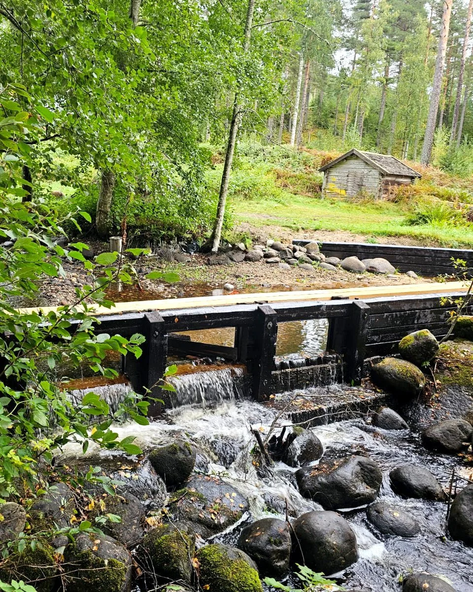 Rejält regninga dagar hjälper oss att testa den nyrestaurerade dammen i Trolldalen, Växbo.
#växbo #hälsingland #hälsingesommar #trolldalenväxbo #trolldalen  #byggnadsvård