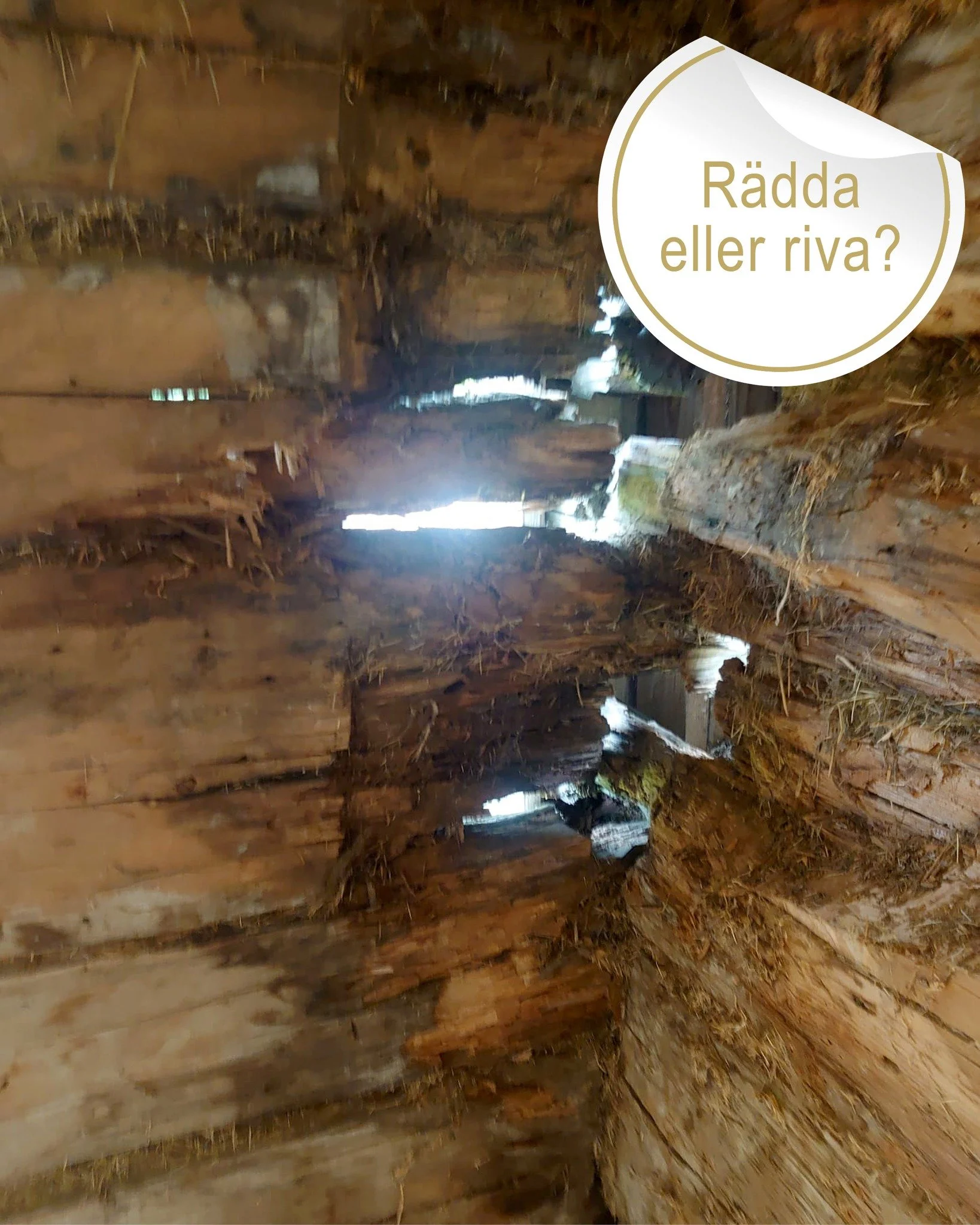 R&auml;dda eller Riv? &ndash; Svep &gt;

#r&auml;ddaellerriva #byggnadsv&aring;rd #timmerlagningar #timmerbyggnader