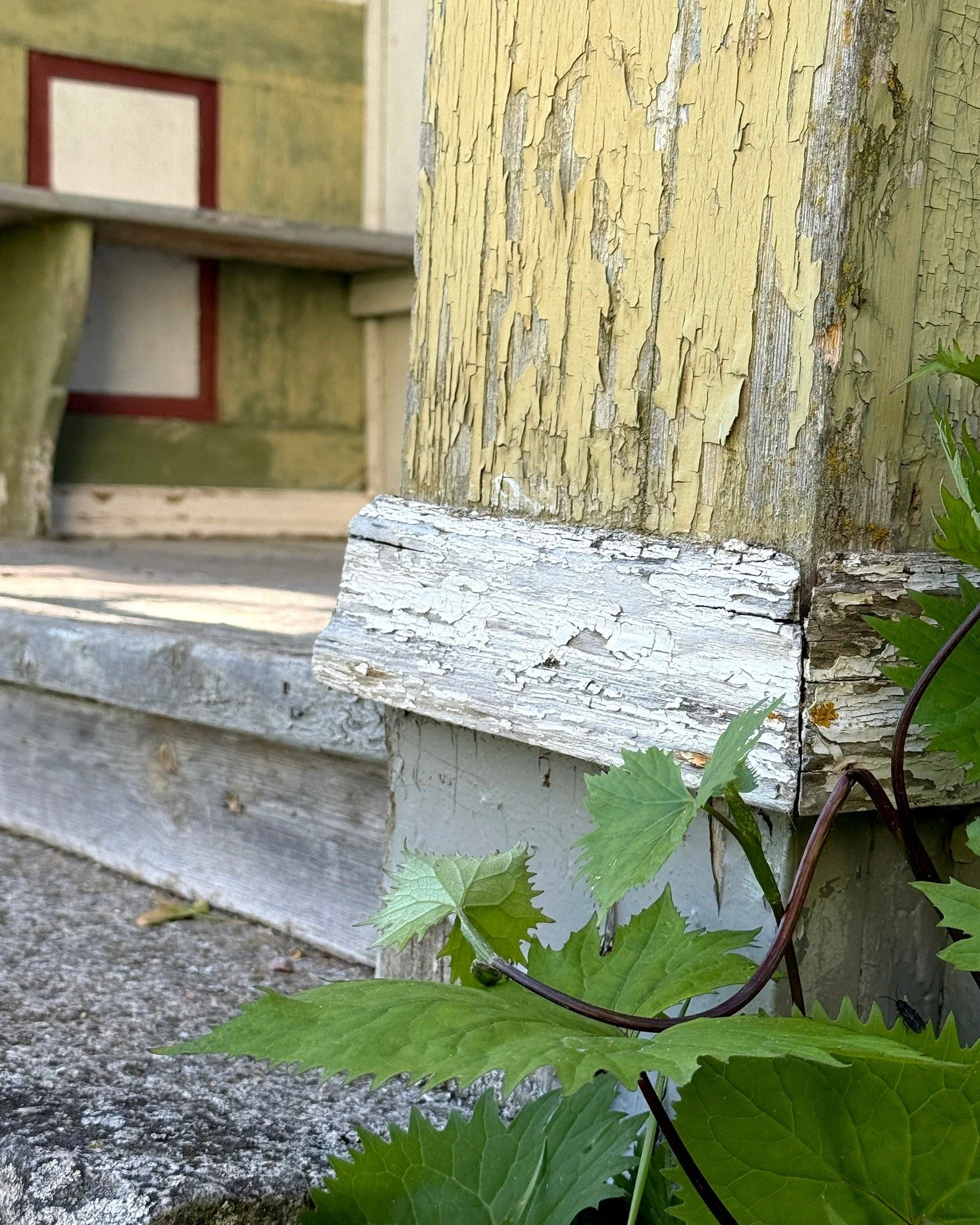 Visst blir man sugen p&aring; att skrapa! L&auml;tt h&auml;nt att vilja b&ouml;rja med det roliga, men det &auml;r s&auml;llan r&auml;tt ordning.

Nu ser vi till att brokvisten &auml;r torr, hel och stadig underifr&aring;n och upp.

Skrapa och m&arin