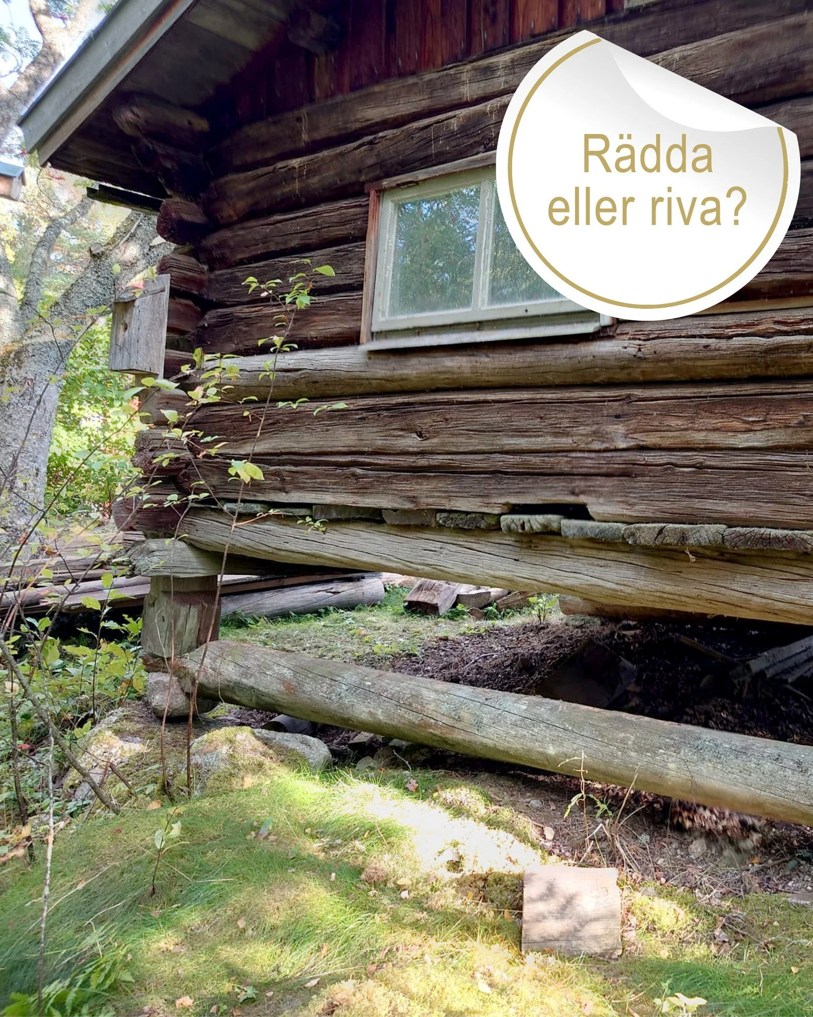 R&auml;dda eller Riva?
Svep >