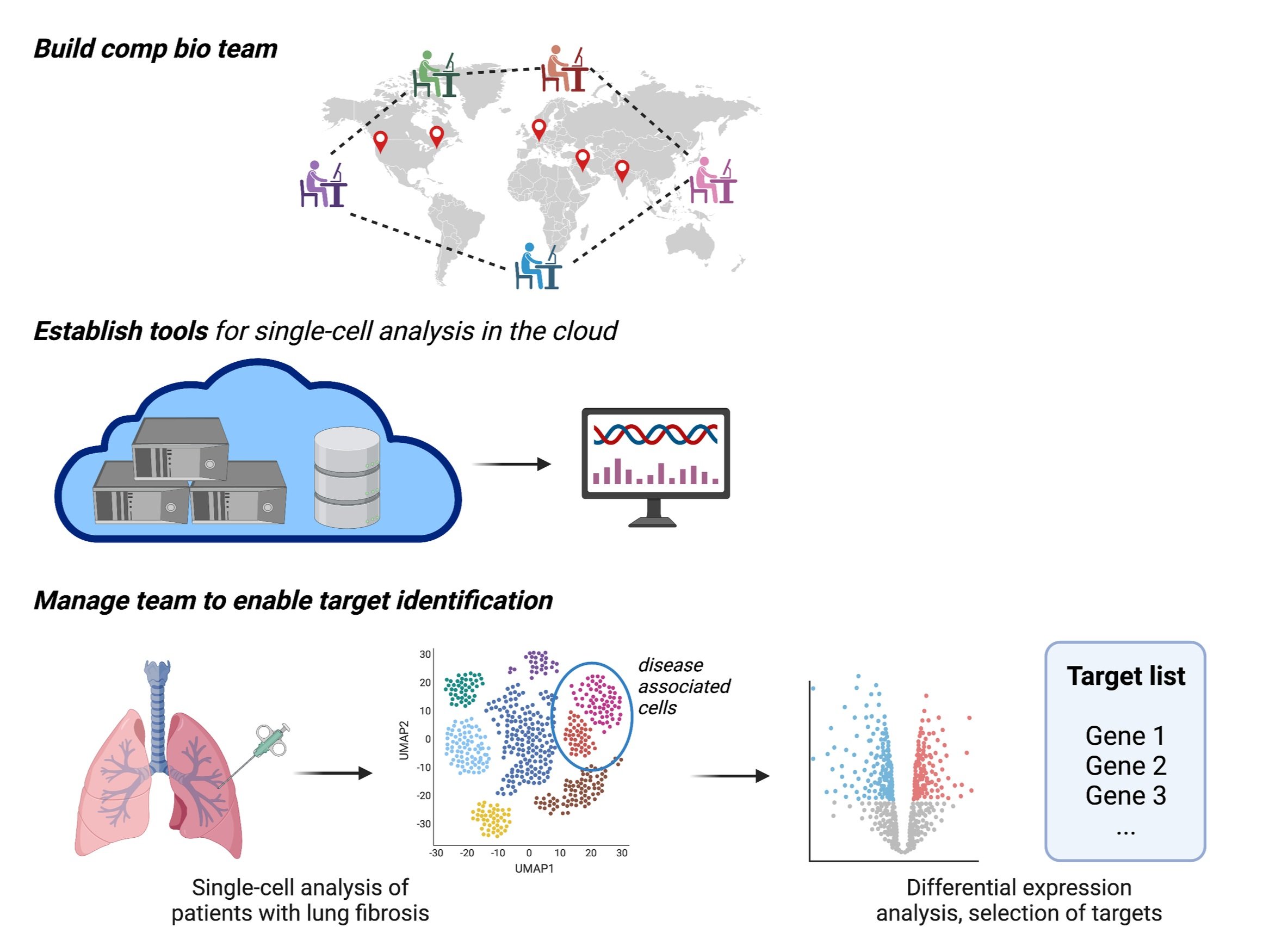 single-cell analysis, comp bio team building, agile software development, bioinformatics
