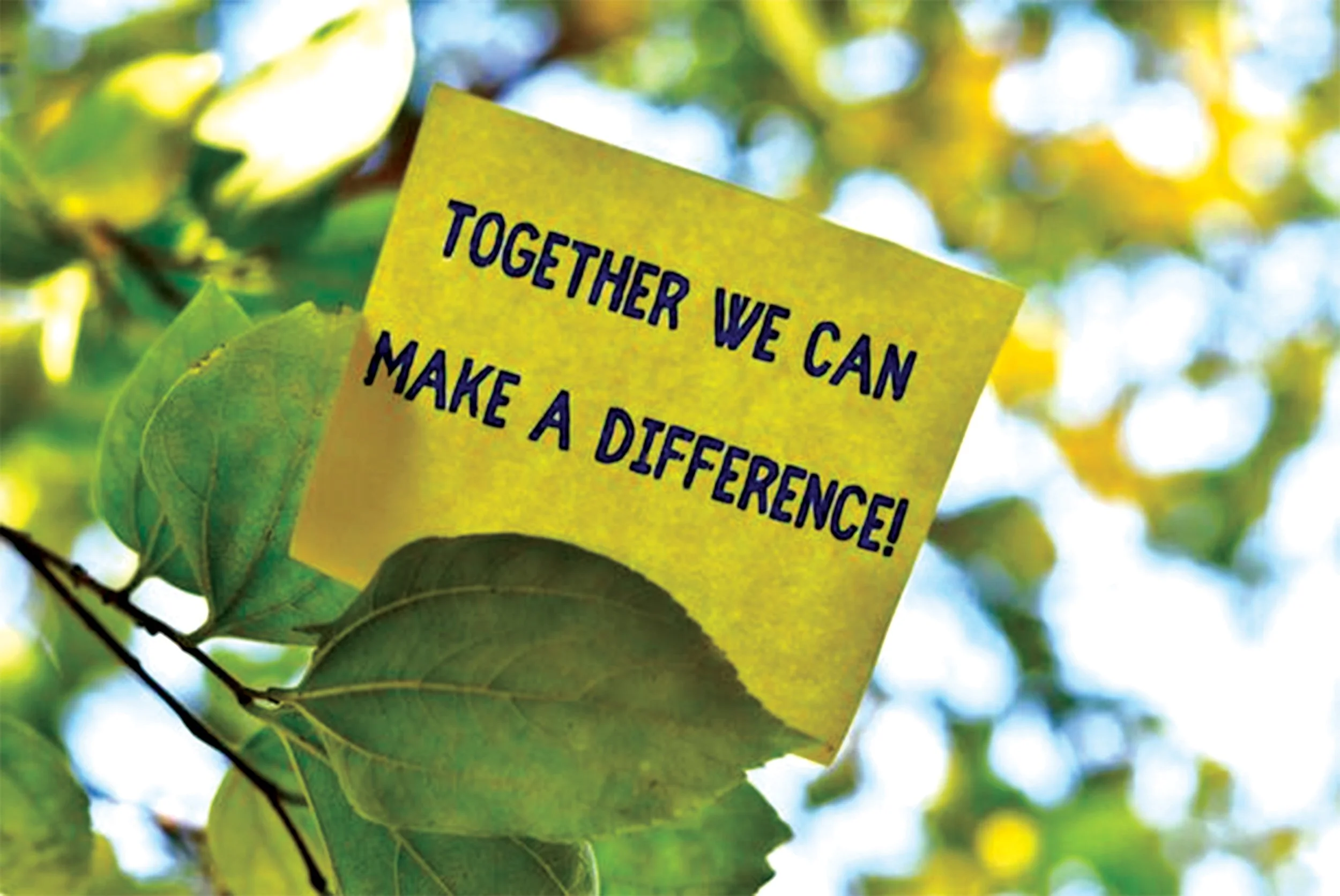 Yellow poster with black lettering - Together We Can Make a Difference - background of green leaves