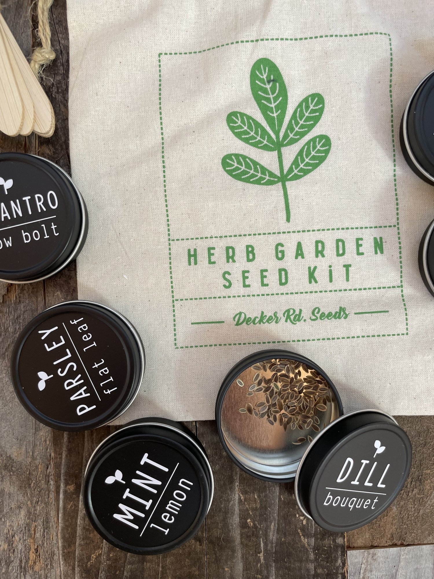 best sunflower seeds to plant Sunflower Seed Collection  6 Varieties