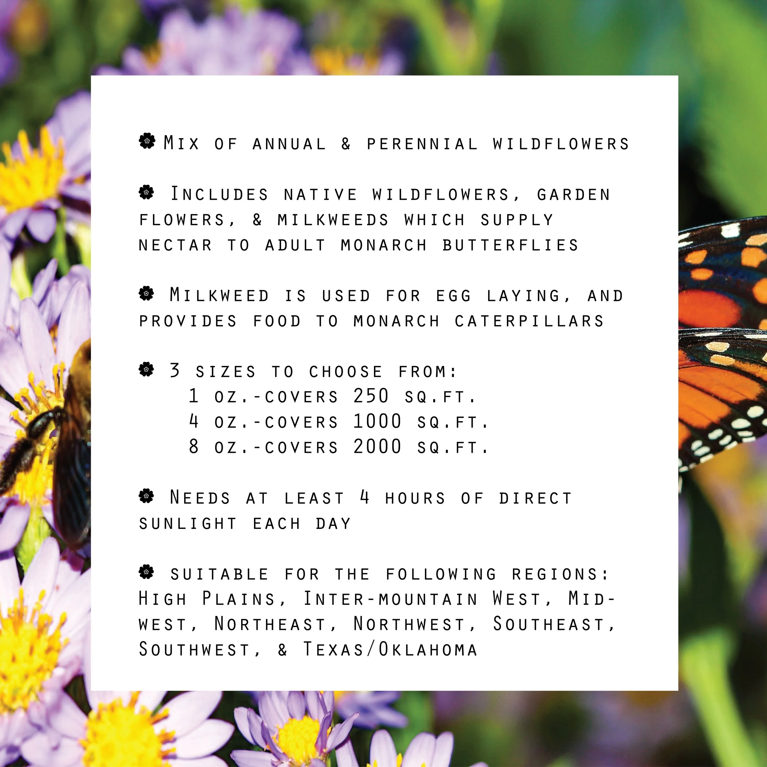 monarch info-01.jpg