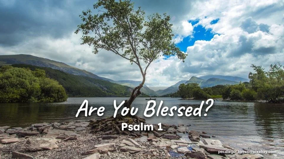 June Worship Schedule
In Person or on Facebook Live at 10am 
June 14: THIRD SUNDAY AFTER PENTECOST 
&bull; Holy Communion 
&bull; Chancel Choir singing 
&bull; Sermon: &ldquo;Are You Blessed?&rdquo; 
June 21: FOURTH SUNDAY AFTER PENTECOST FATHER&rsqu
