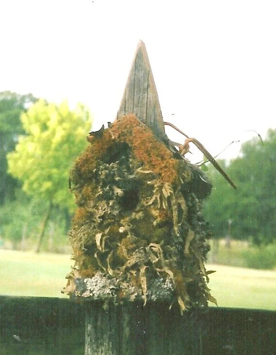 Birdhouse