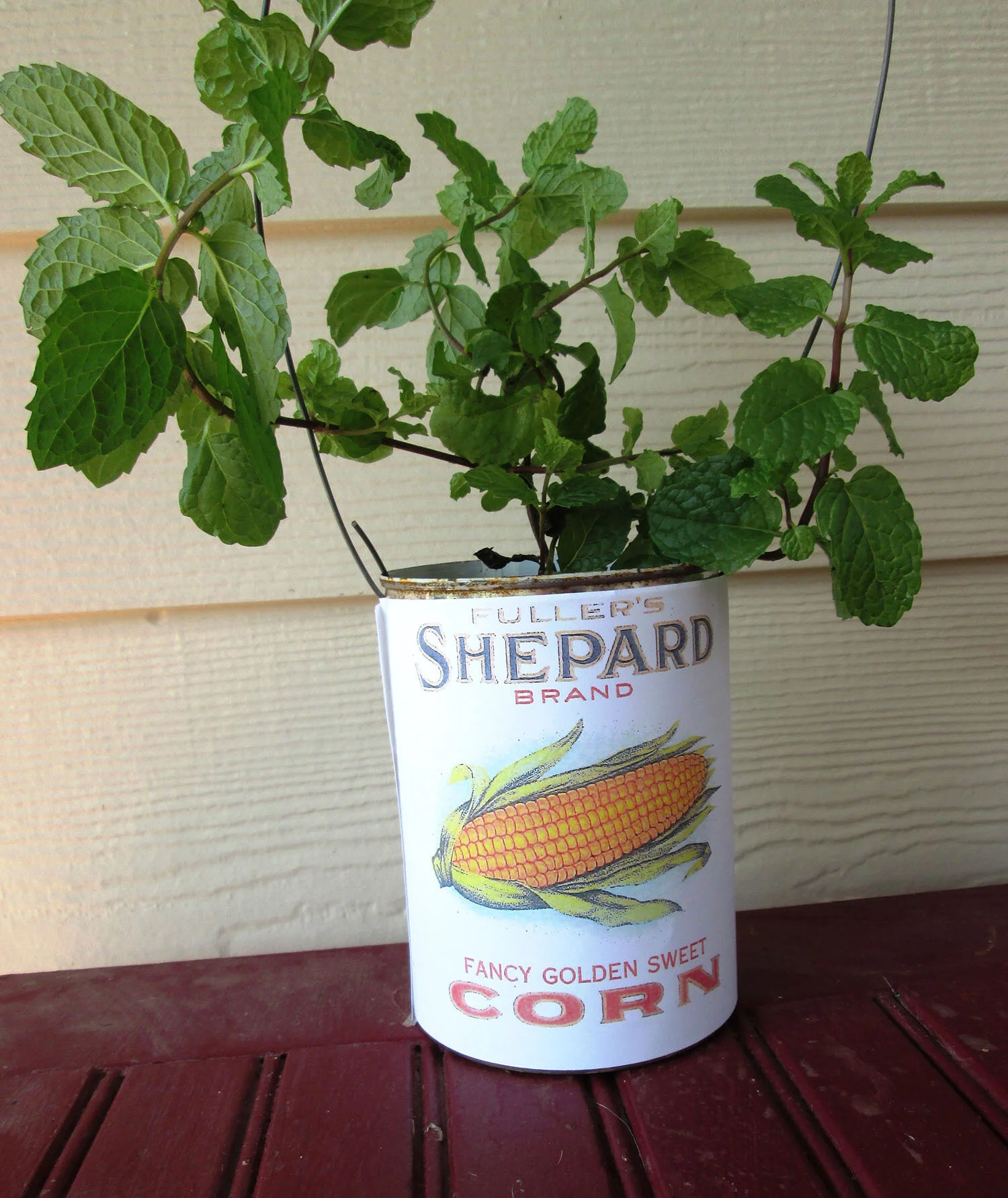 Tin Can Planter