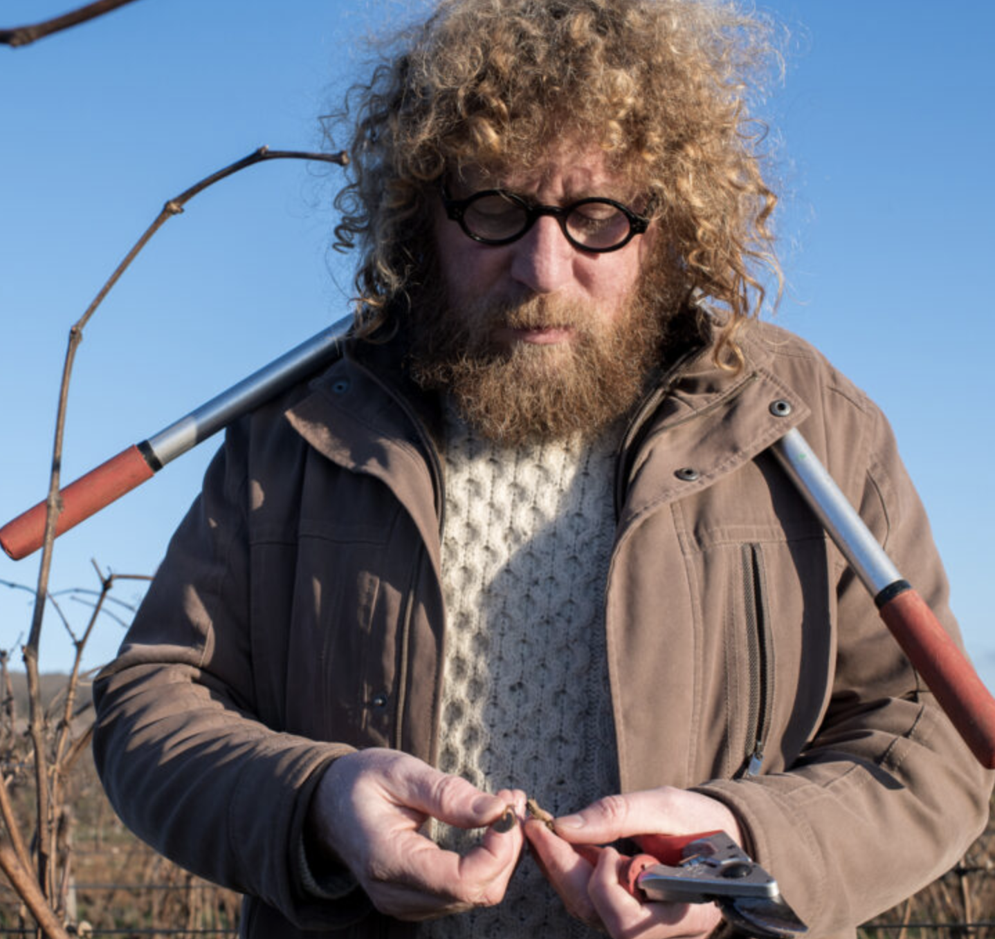 Wine Wednesday : Burgundy – Sylvain Pataille