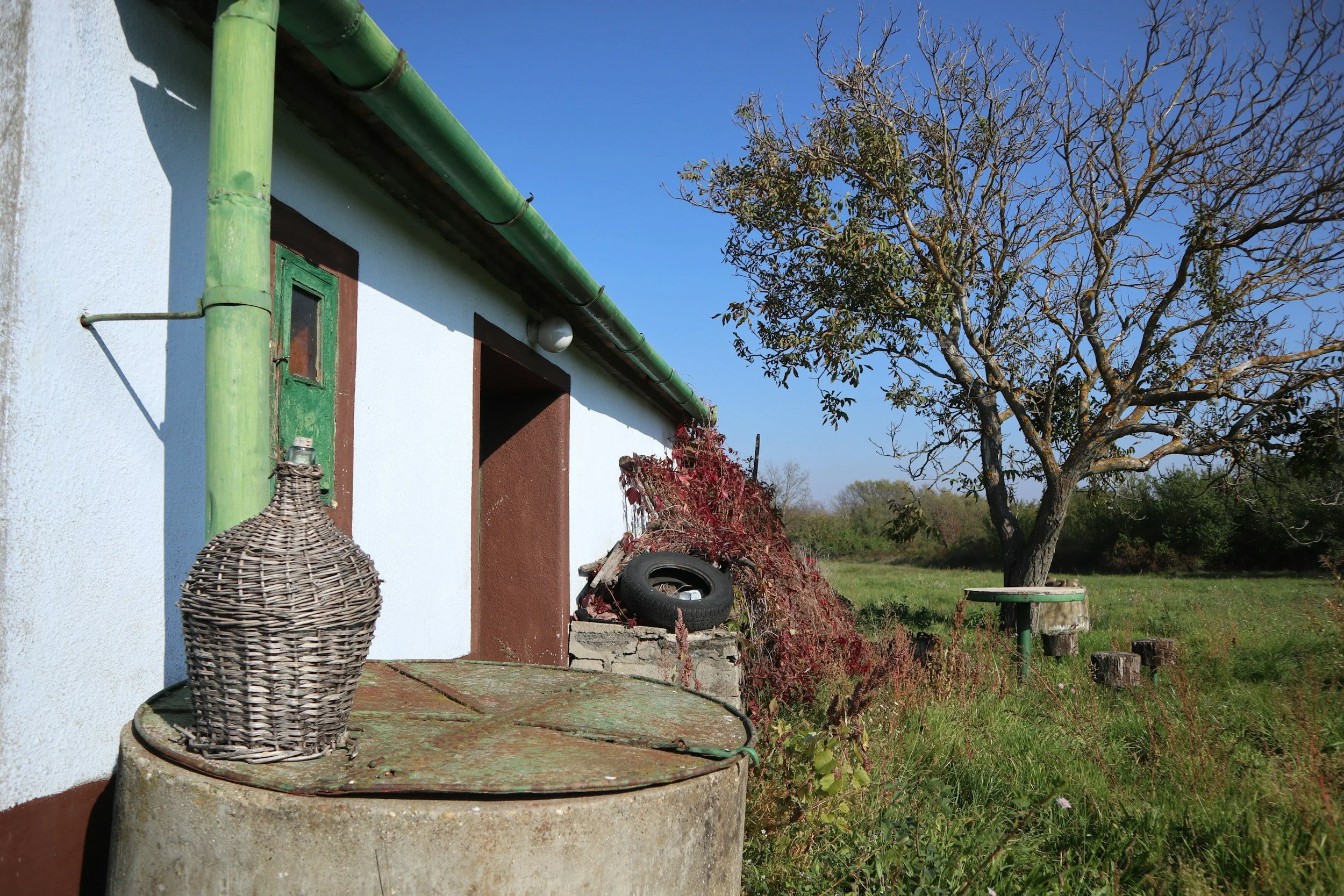 Wine Wednesday : Hungarian Wines