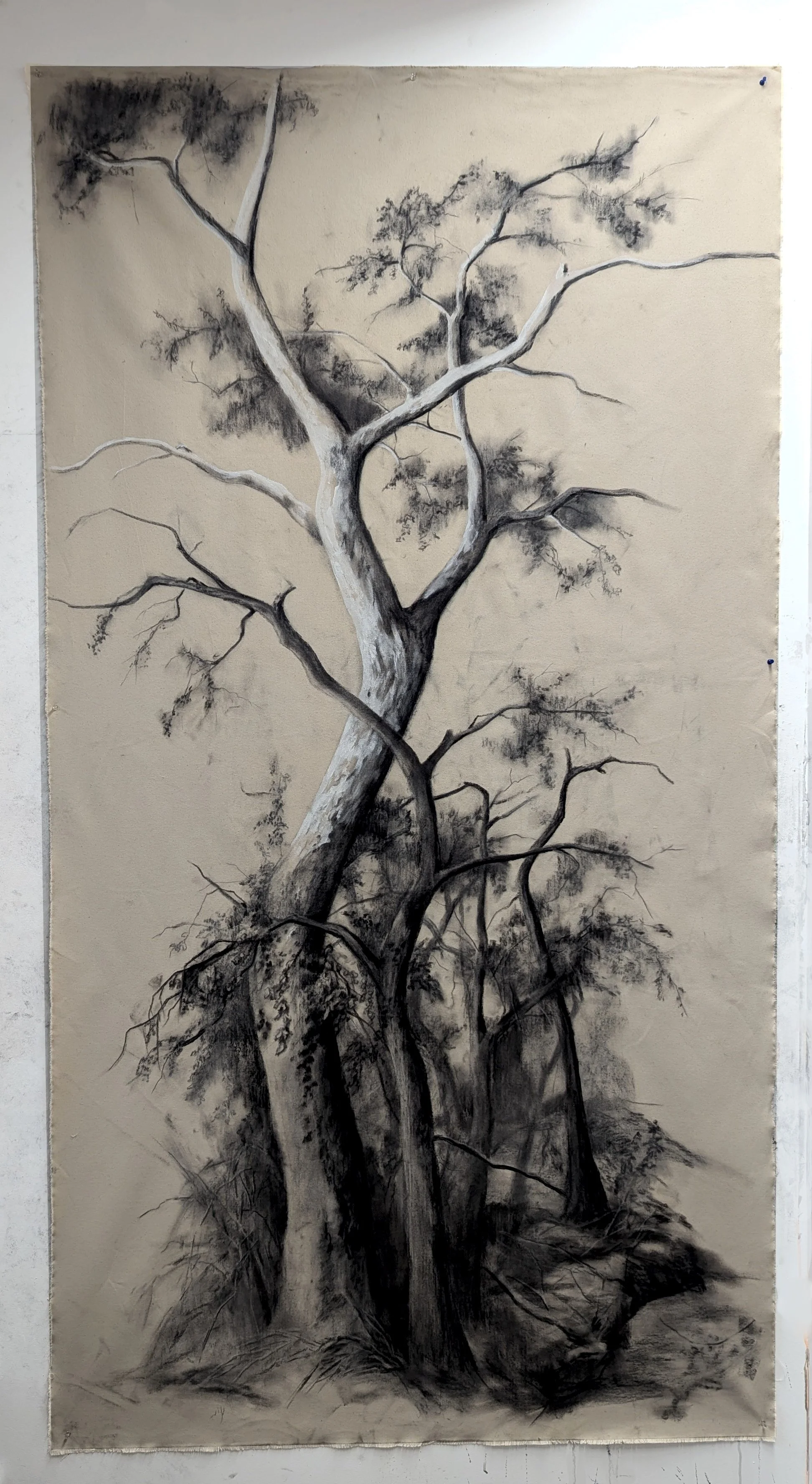 Mixed Media Drawings