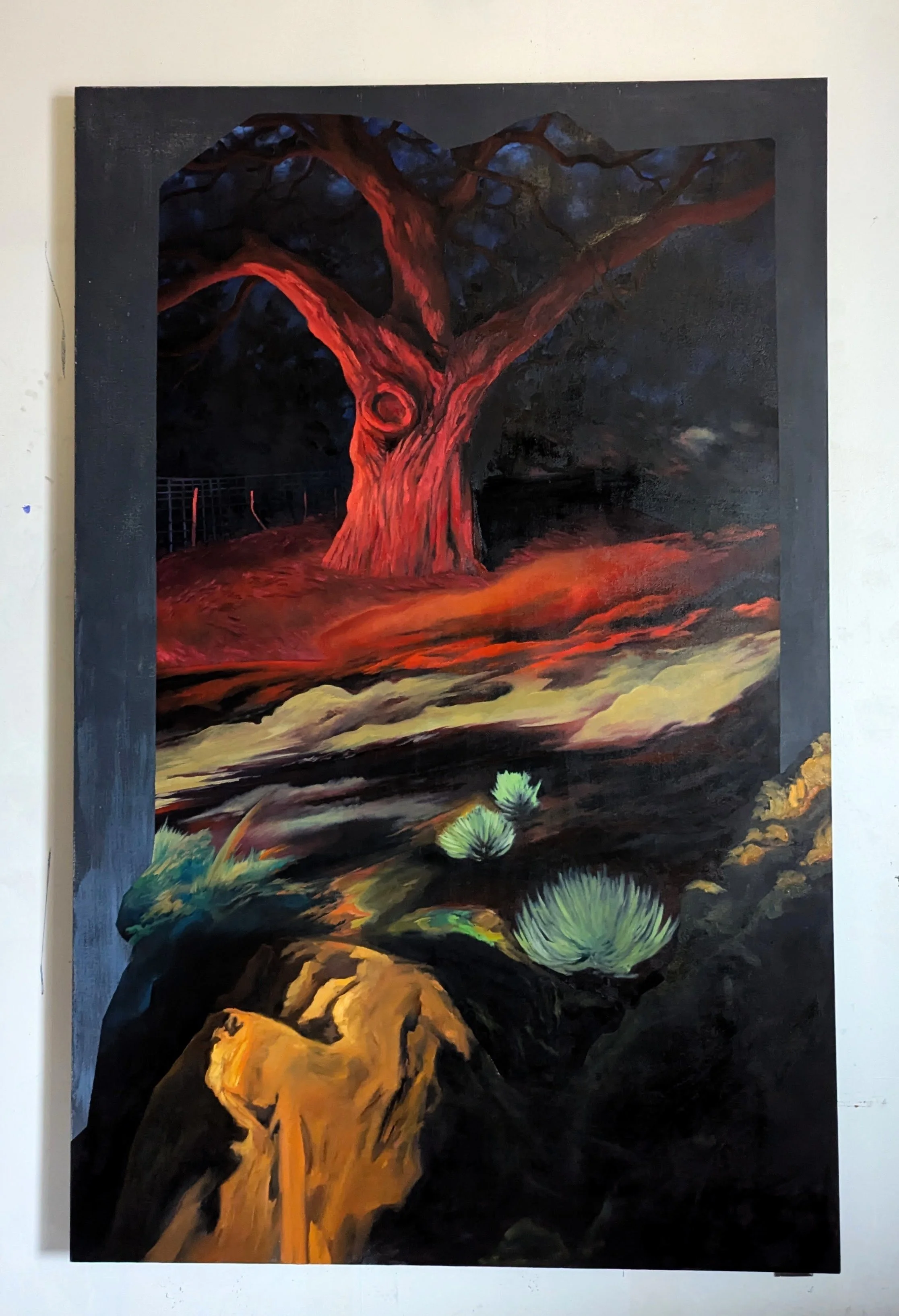 PXL_20260218_221513357~2 (1).jpg