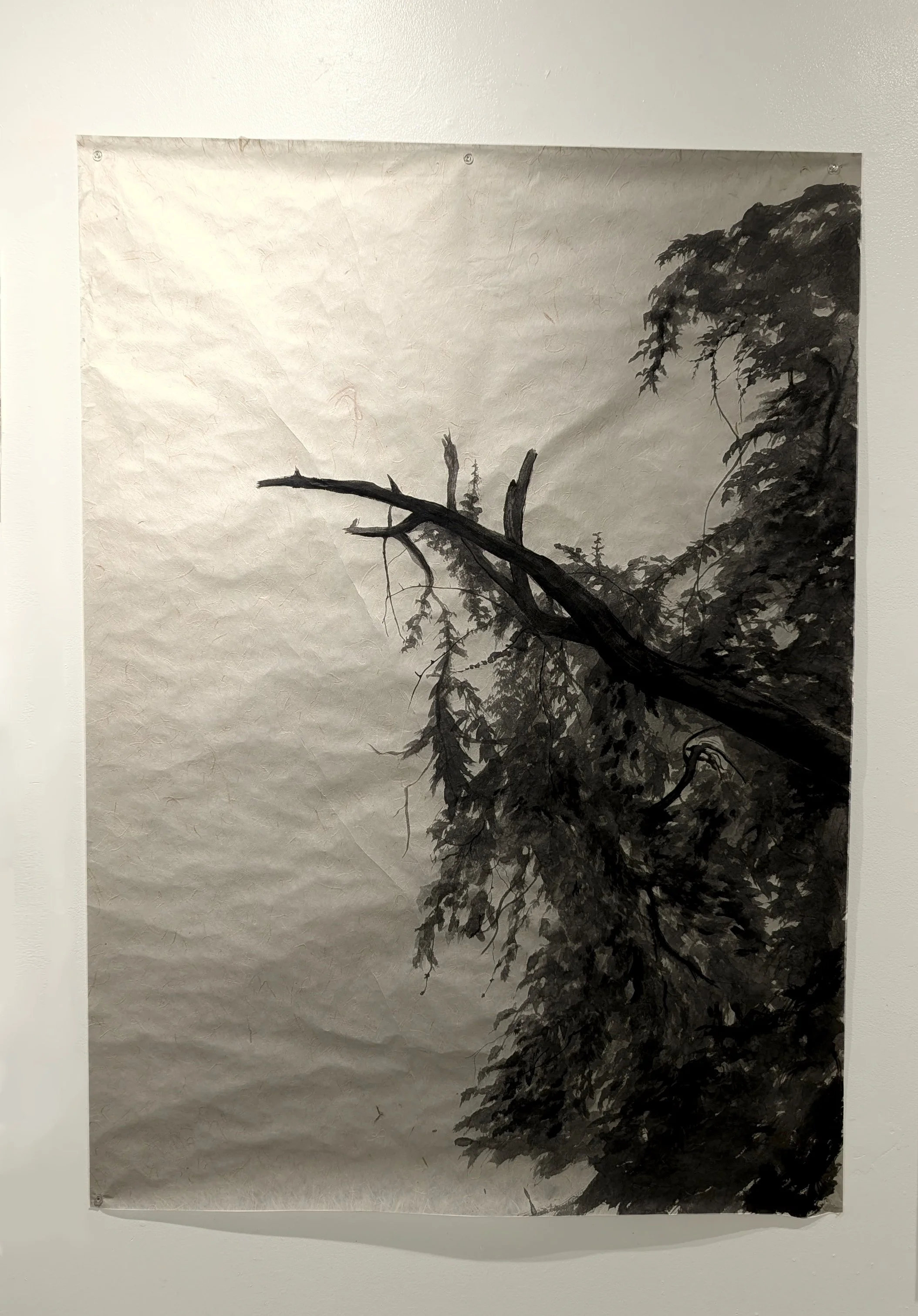 Outstretched and Overgrown.jpg