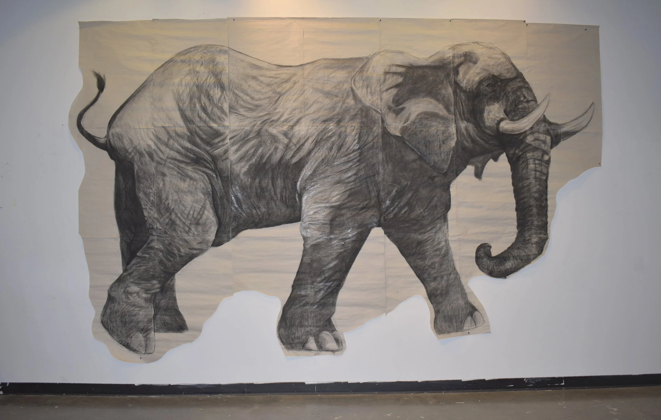 African Elephant.JPG