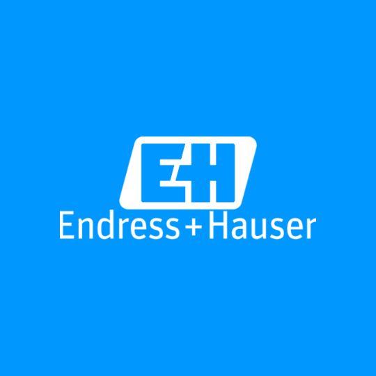Endress and Hauser