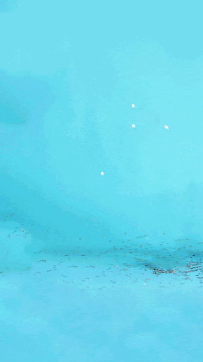Webroot GIF 5.gif