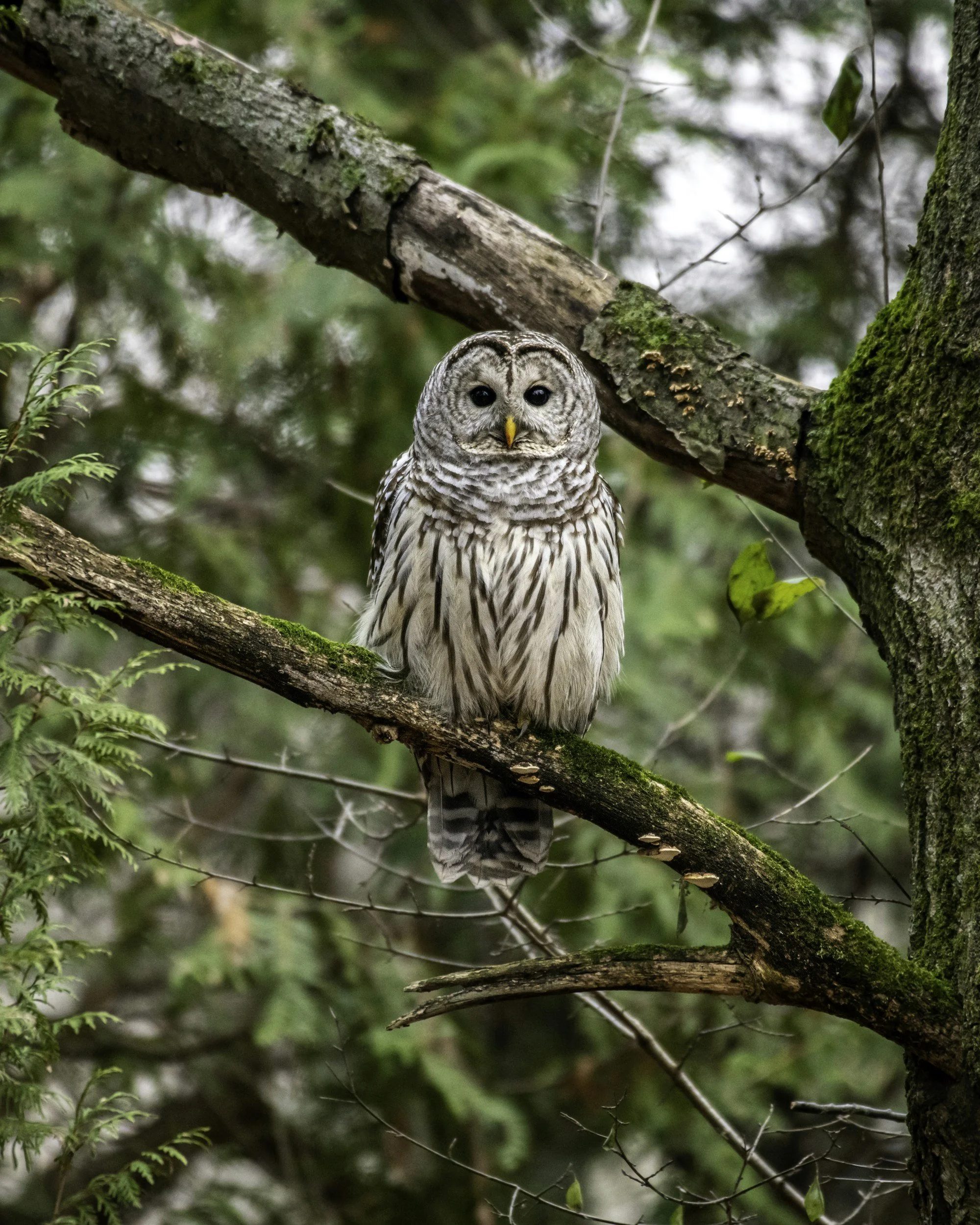 Field Trip: John Chestnut Senior Park