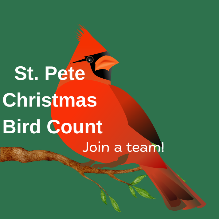 St. Petersburg Christmas Bird Count