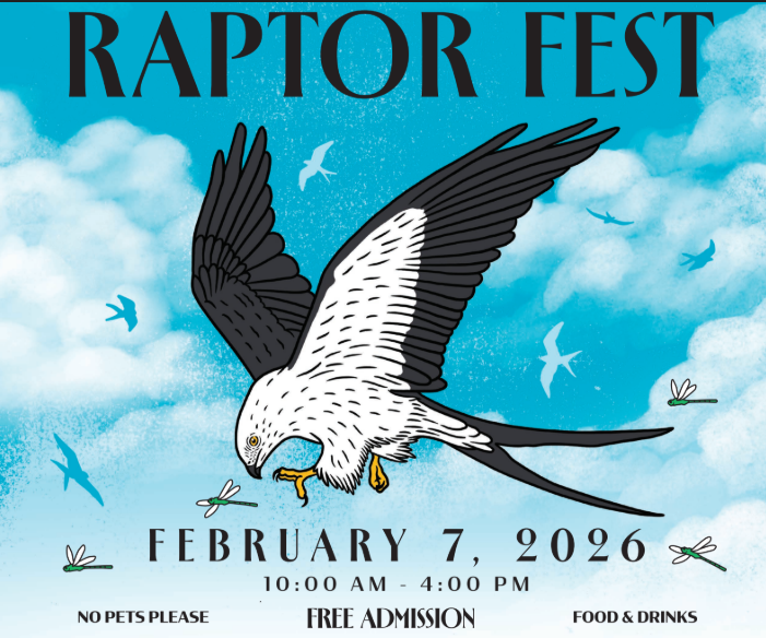 Boyd Hill Nature Preserve Raptor Fest