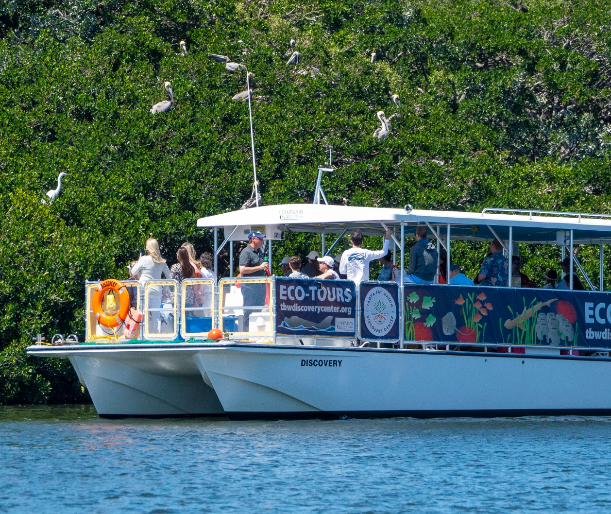 Sunset Boat Trip to Coffeepot Bayou Bird Island