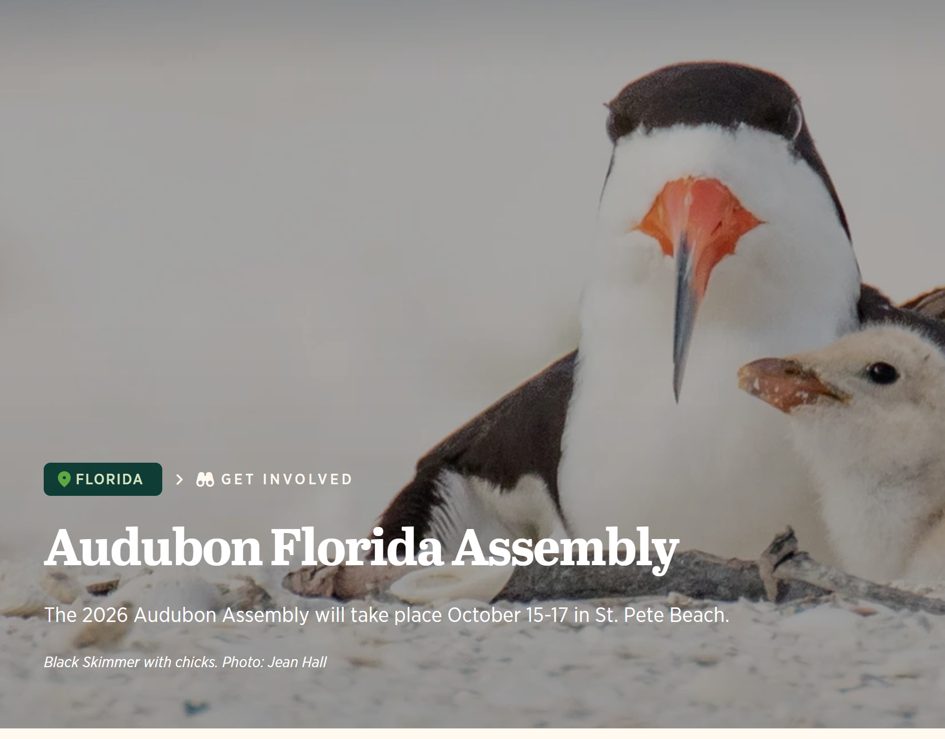 Audubon Assembly