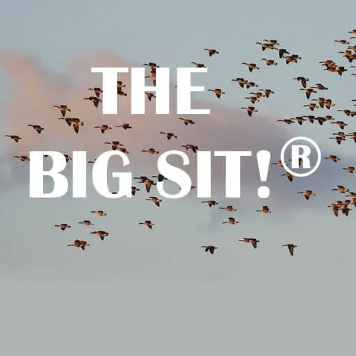 Field Event: Big Sit at Lassing Park