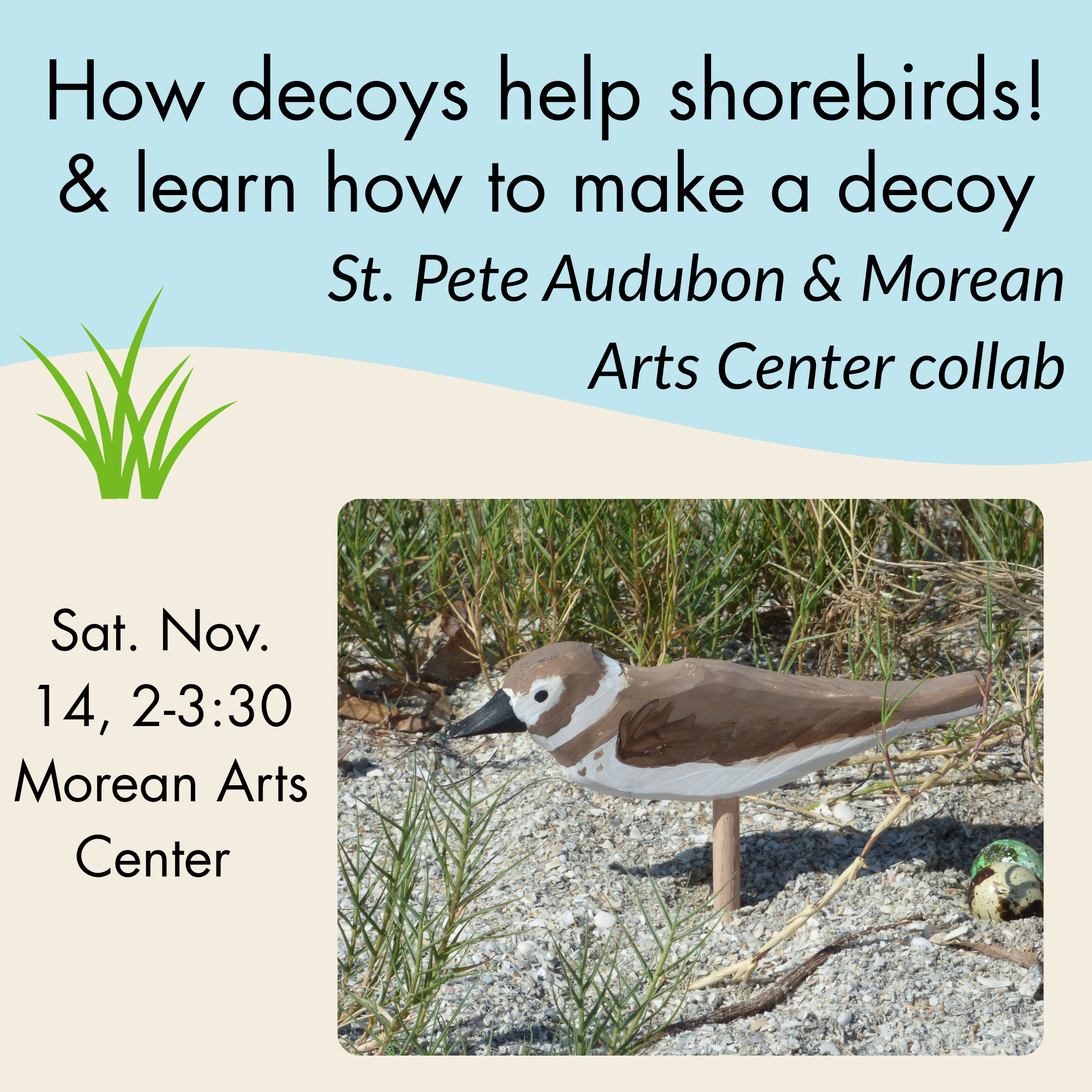 Program: How decoys are used to help birds (and paint your own decoy!)
