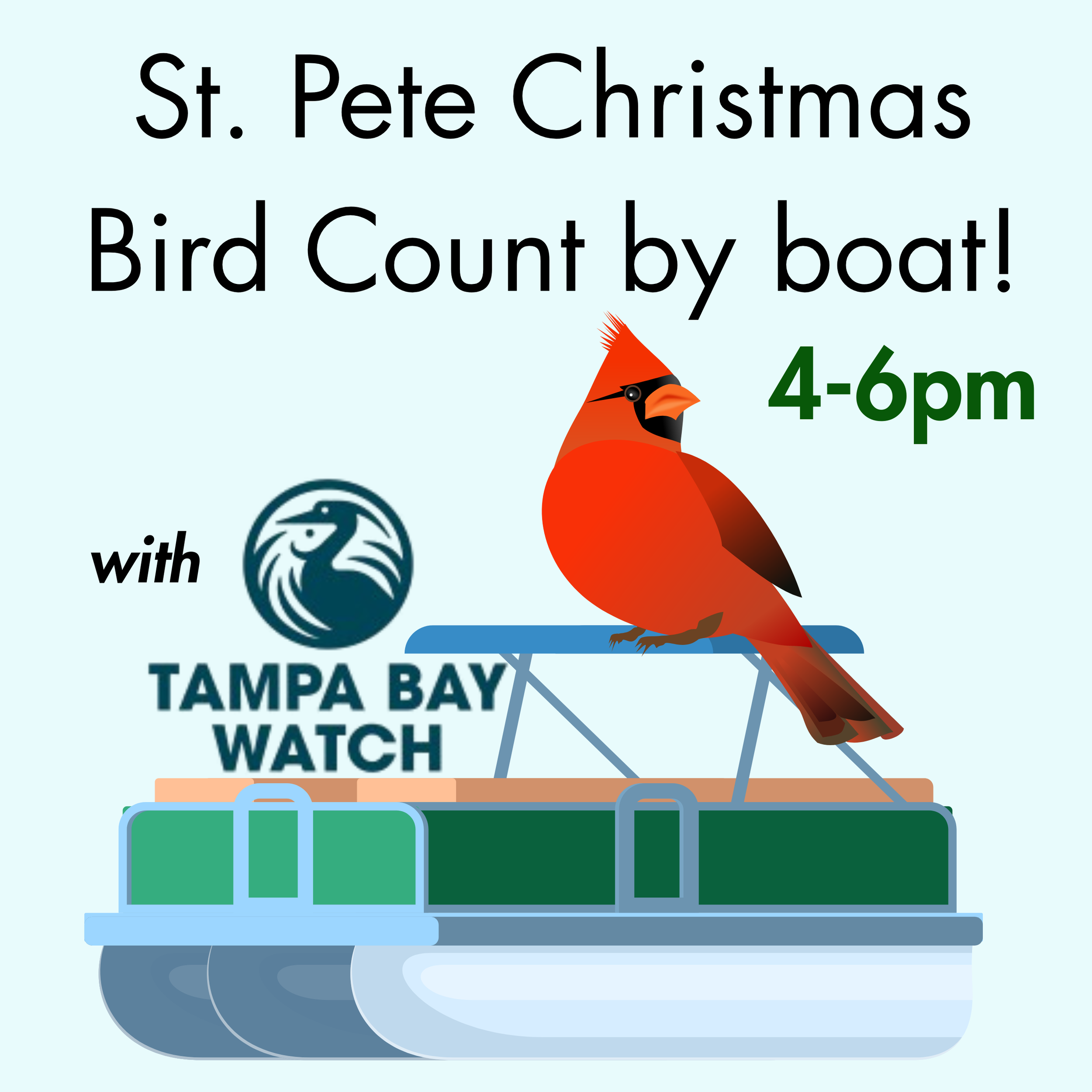 Christmas Bird Count with Tampa Baywatch (Mobility-friendly boat trip)