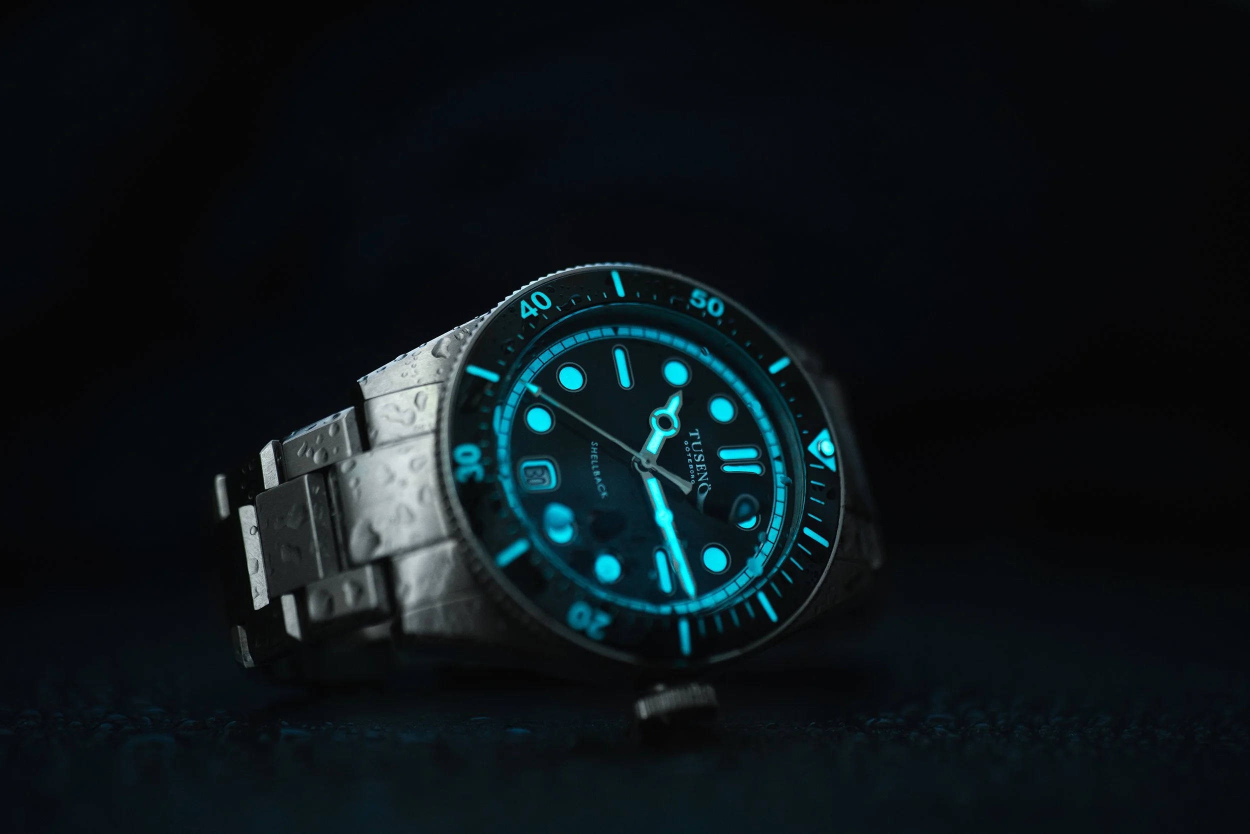 Shellback_Lume_2500px.jpg