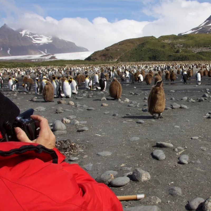 Where to Go After Your First Antarctica Trip: Three Unique Expedition Itineraries