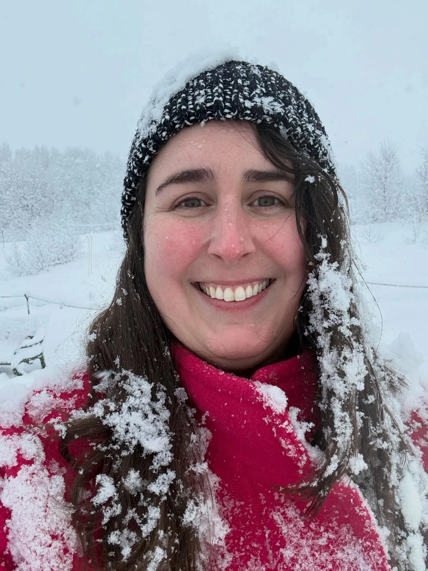 Until next time, Iceland. 

48 hours wasn&rsquo;t nearly enough but it was the perfect start to my two weeks in Europe. I was able to drive the Golden Circle, catch the Northern Lights, and indulge in the ultimate day of relaxation by visiting both t