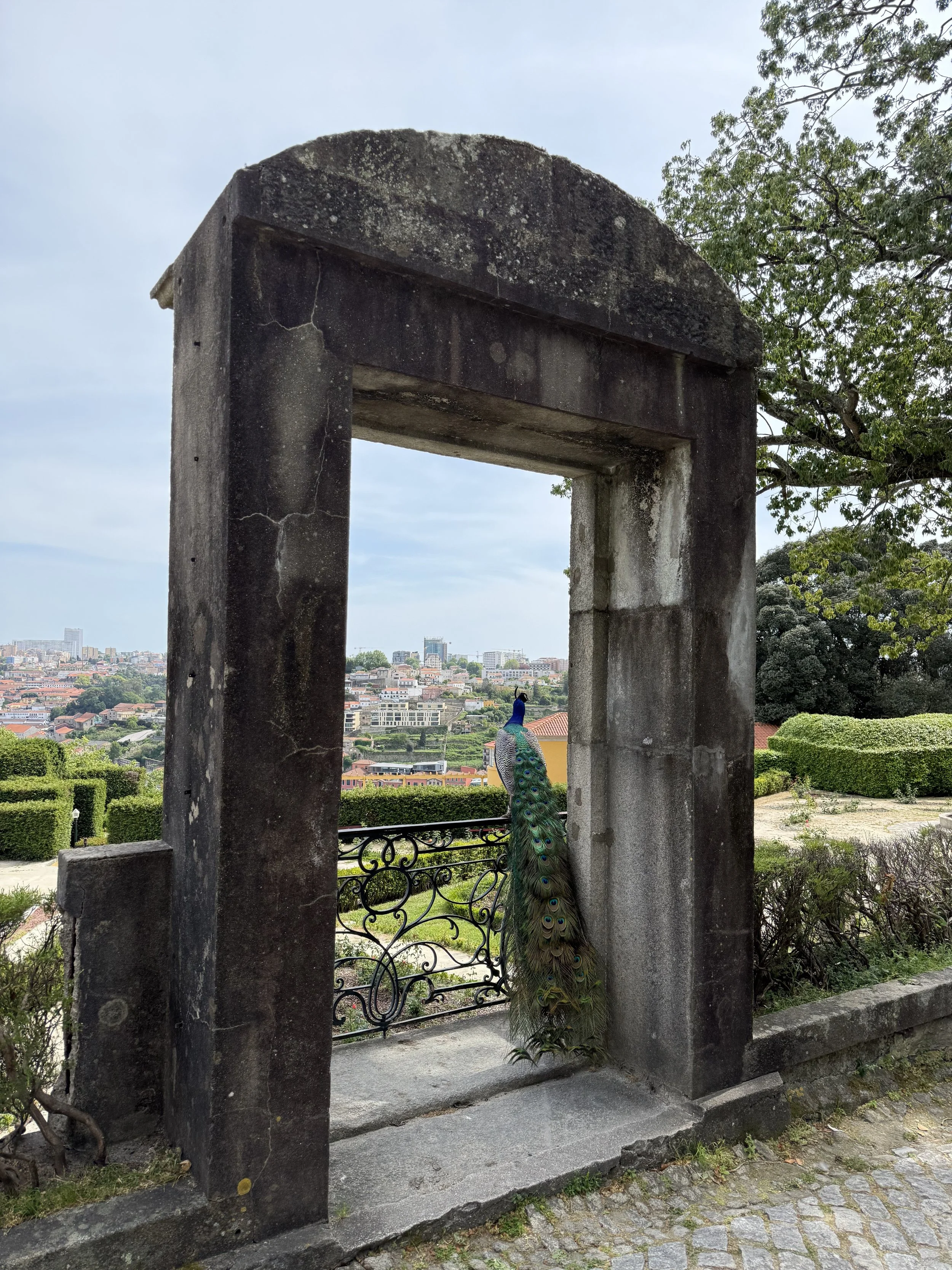 Postcards of Porto