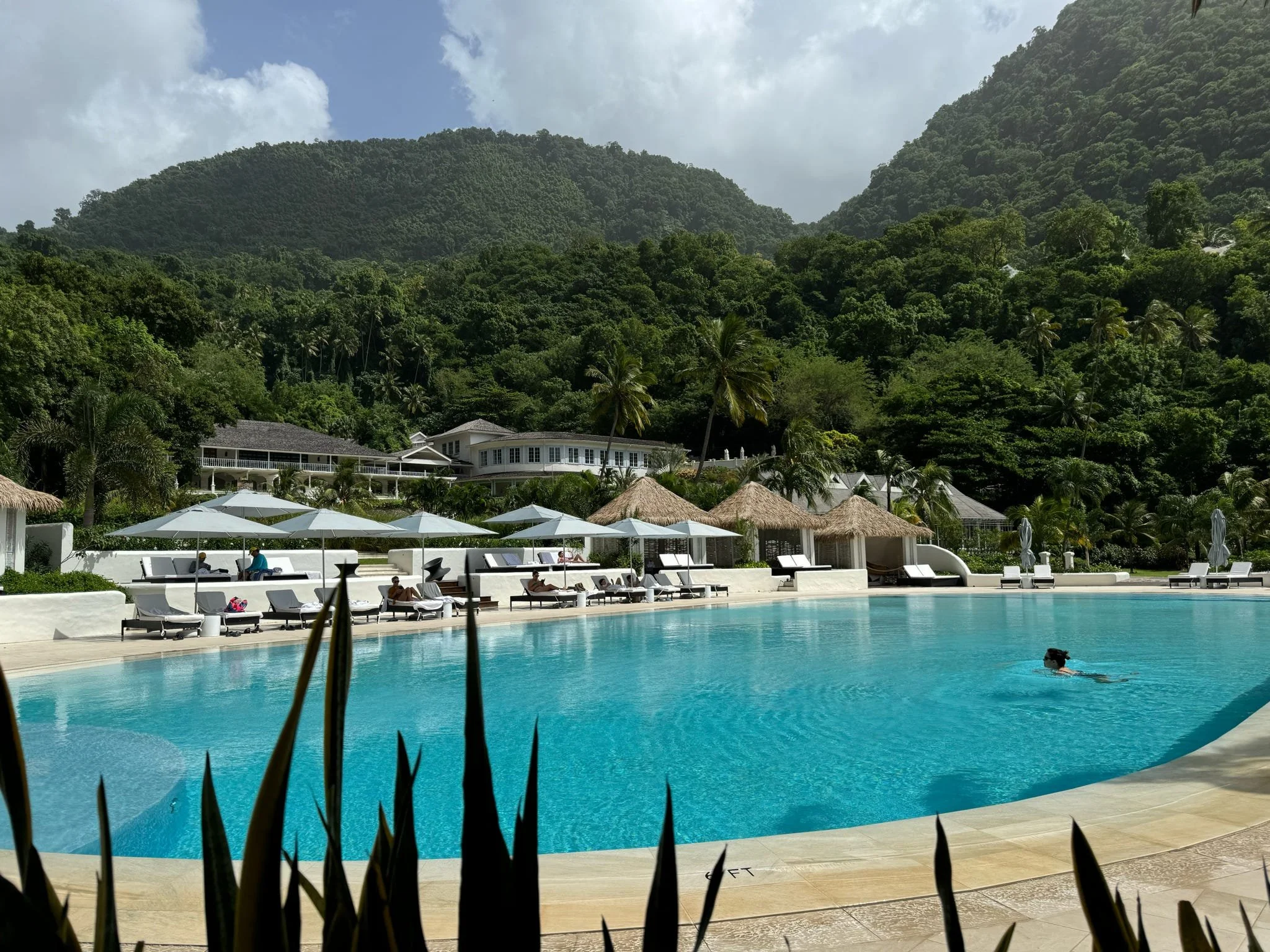 Sugar Beach pool with jungle in the background
