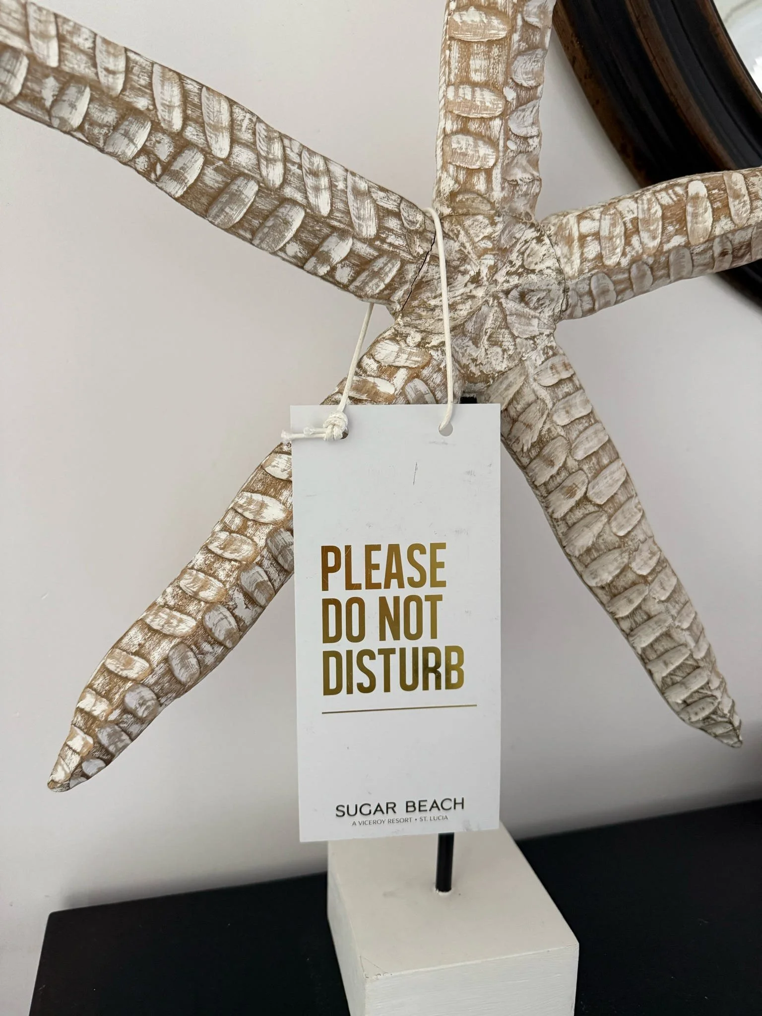 star fish with please do not disturb sign on it