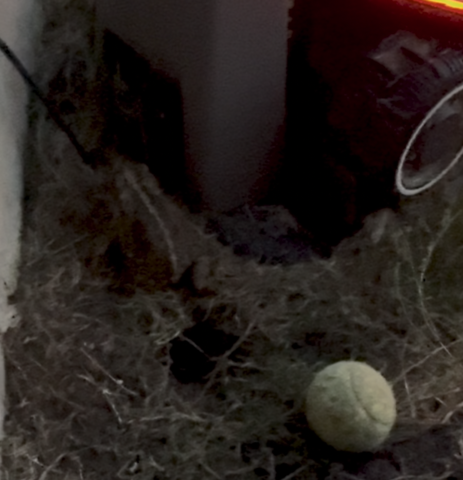 File 007: The Curious Case of the Yellow Orb