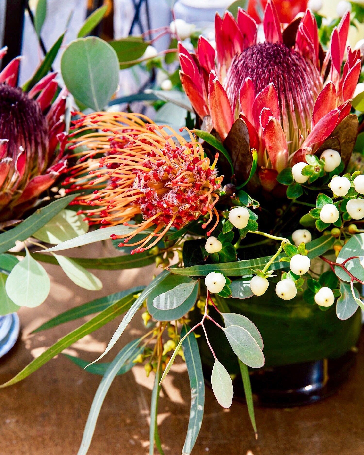 Close-up of a red and green protea flower with white berries and green leaves in the background.