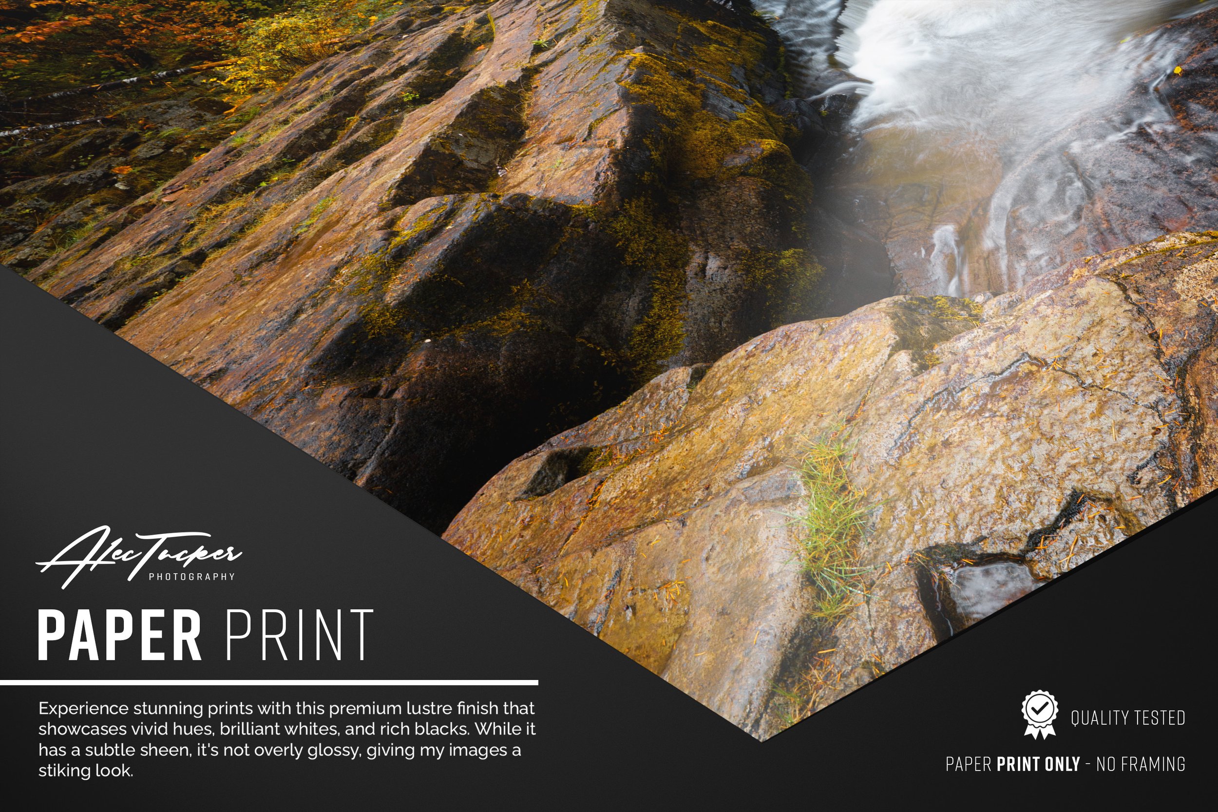 PAPER PRINT.jpg