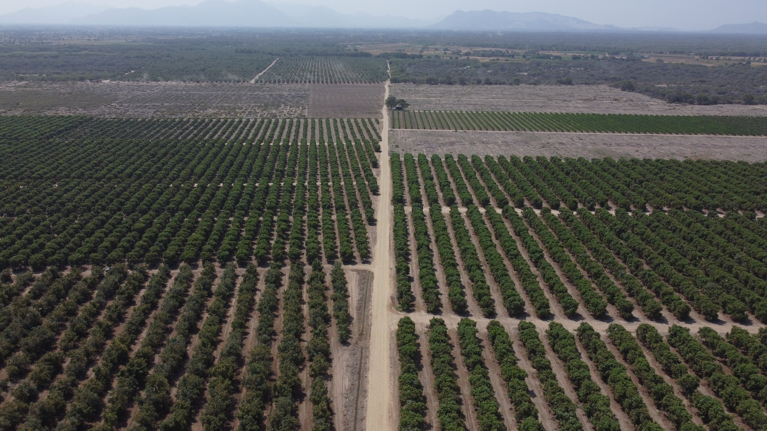 DJI_0738.JPG