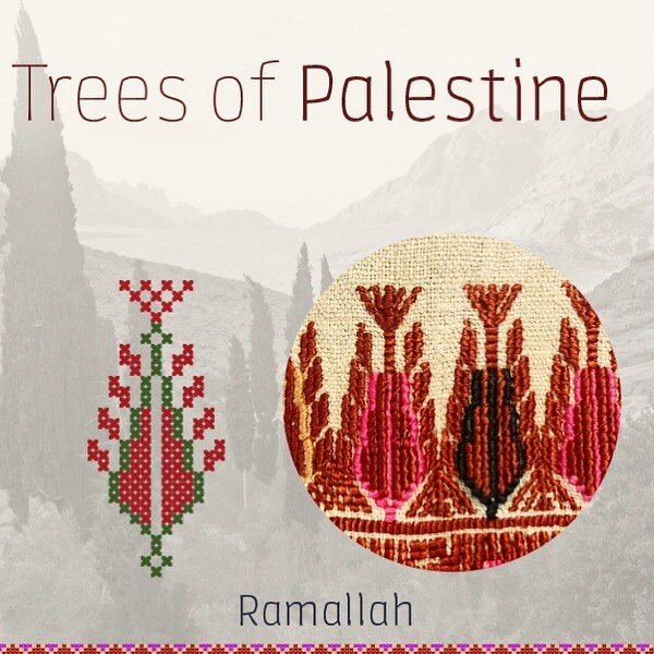Trees of Palestine embroidery kit for beginners, intermediate level. 

Now available on our site folkglory.com (worldwide shipping) and @tirazcentre and @rummancollective in Amman Jordan.

The Cypress Tree was the most important and widespread motif 